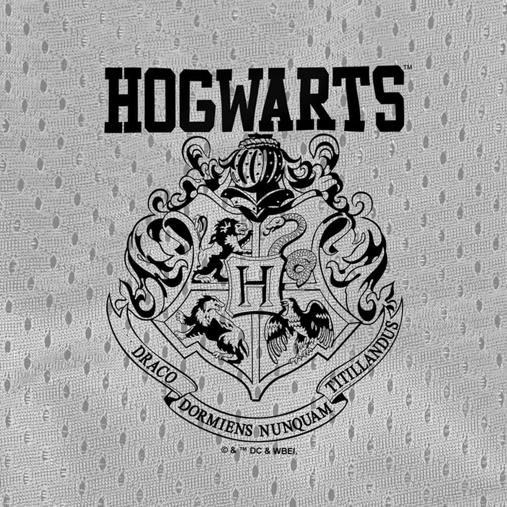 image:imagePopfunk Pop Culture Collection Mens Lined Mesh ShortsHarry Potter Hogwarts Athletic