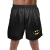 Batman Classic Bat Shield Logo