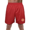 Justice League Wonder Woman Athletic Logo