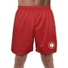 Justice League the Flash Athletic Logo