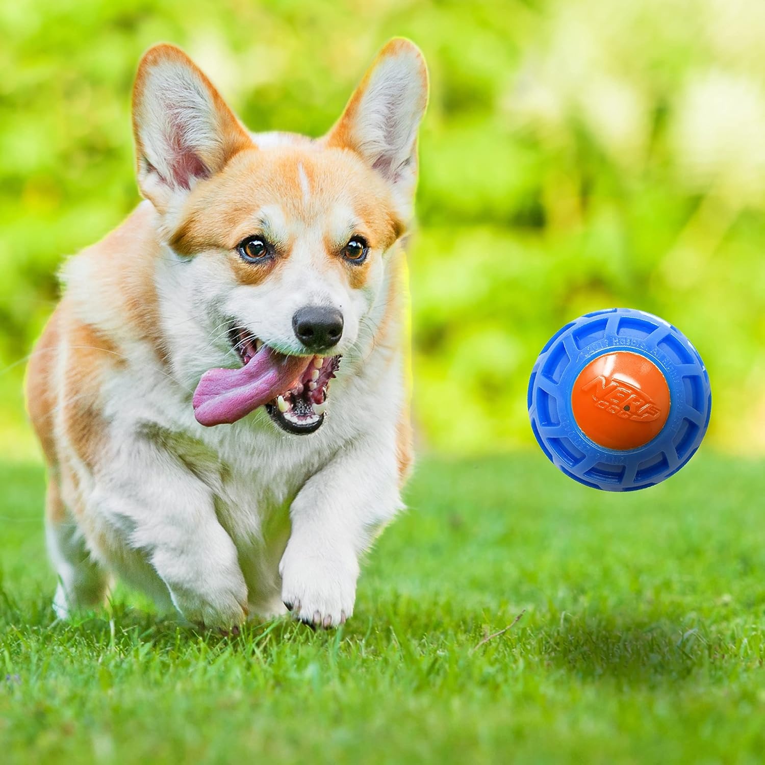 image:image3in TPR EXO Squeak Ball BlueOrange3 inches