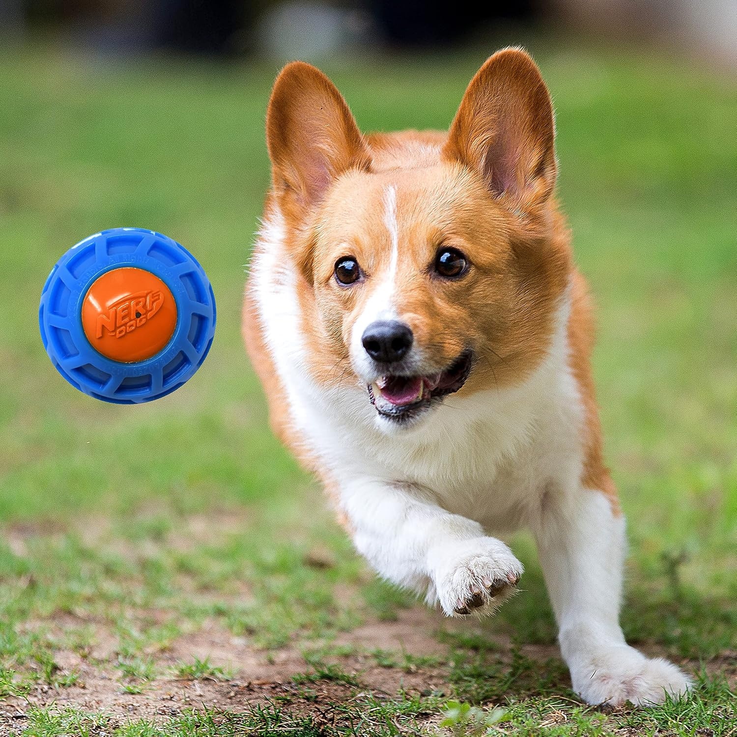 image:image3in TPR EXO Squeak Ball BlueOrange3 inches