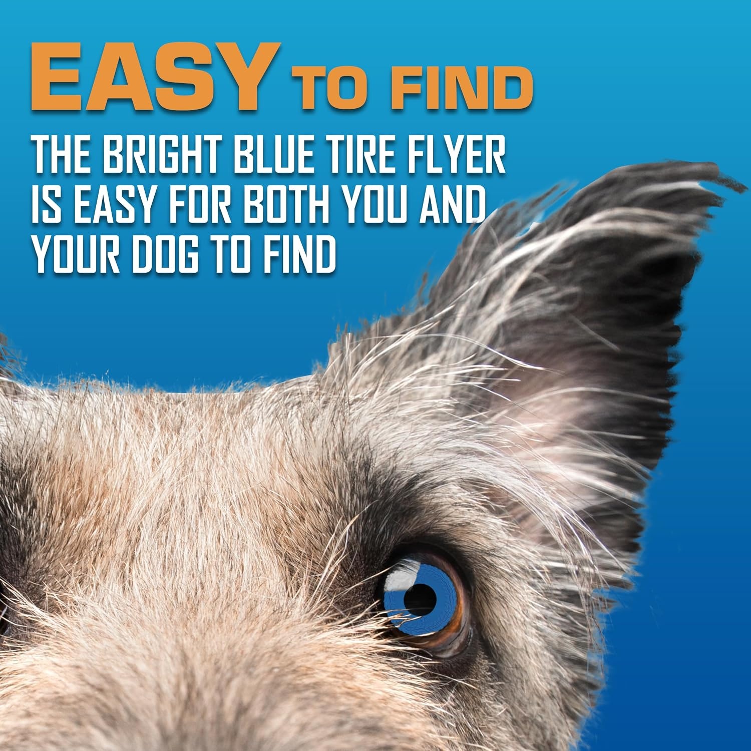 image:imageNerf Dog Atomic Flyer Outdoor Dog Toy 10 Inch Flying Disc Dog Fetch Toy Rubber Dog Toy for Medium Dogs and Large Dogs OrangeBlue