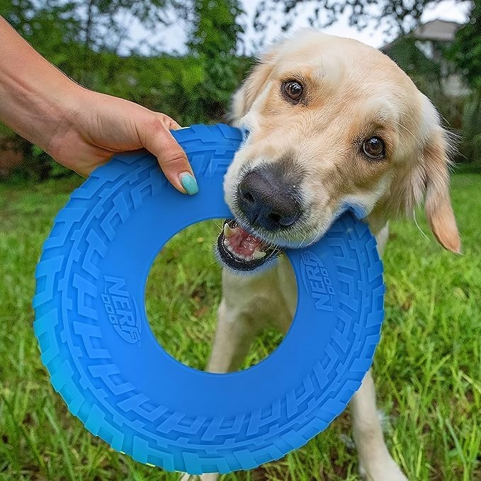 image:imageNerf Dog Atomic Flyer Outdoor Dog Toy 10 Inch Flying Disc Dog Fetch Toy Rubber Dog Toy for Medium Dogs and Large Dogs OrangeBlue