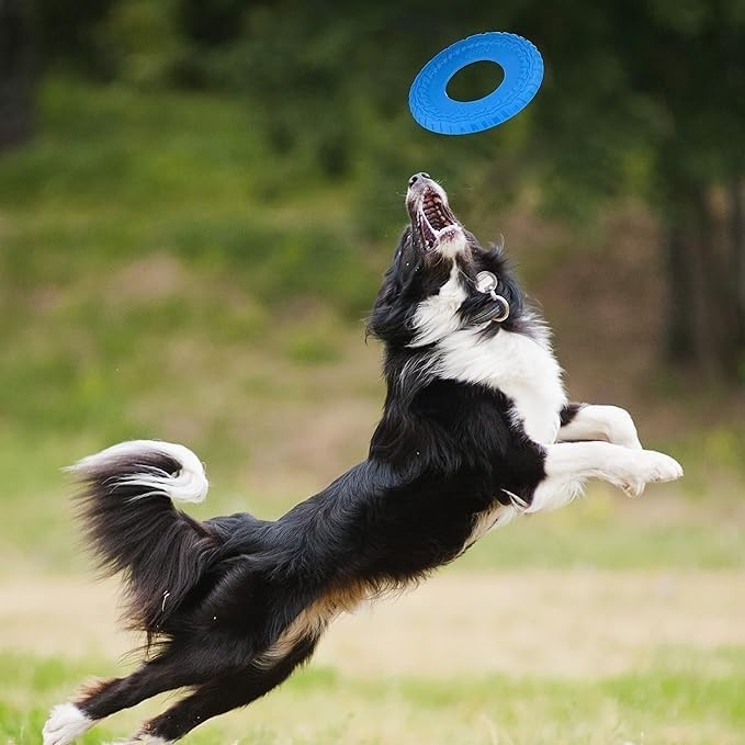 image:imageNerf Dog Atomic Flyer Outdoor Dog Toy 10 Inch Flying Disc Dog Fetch Toy Rubber Dog Toy for Medium Dogs and Large Dogs OrangeBlue