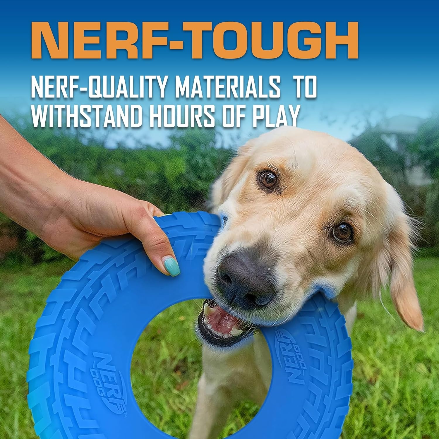 image:imageNerf Dog Atomic Flyer Outdoor Dog Toy 10 Inch Flying Disc Dog Fetch Toy Rubber Dog Toy for Medium Dogs and Large Dogs OrangeBlue