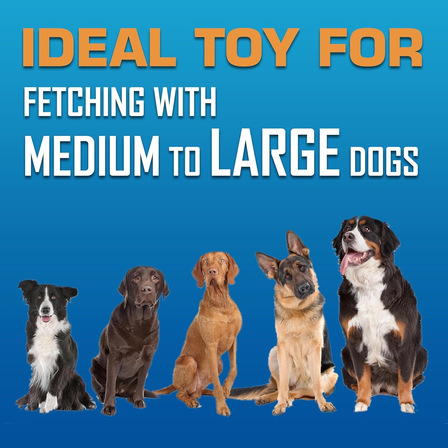 image:imageNerf Dog Atomic Flyer Outdoor Dog Toy 10 Inch Flying Disc Dog Fetch Toy Rubber Dog Toy for Medium Dogs and Large Dogs OrangeGreen