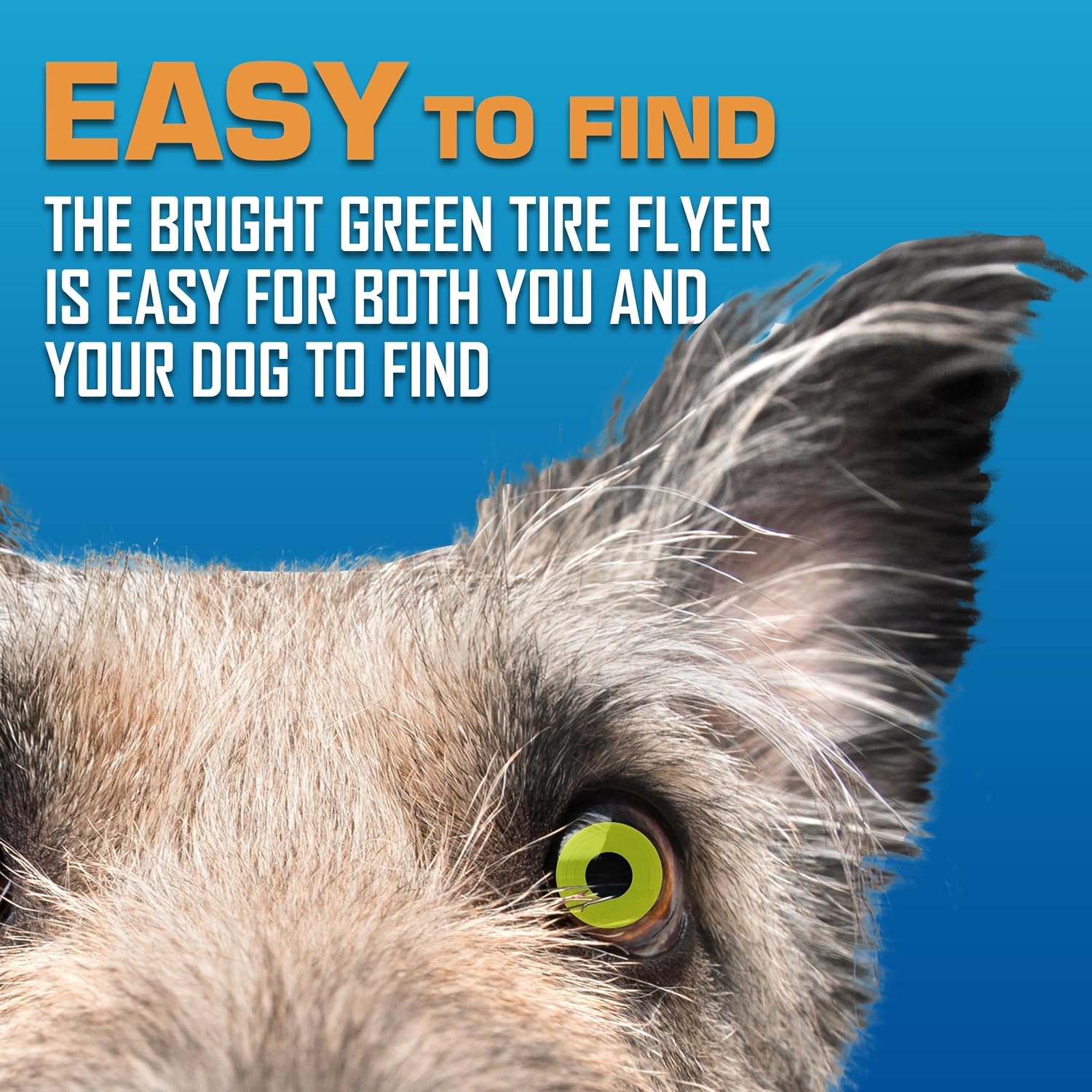 image:imageNerf Dog Atomic Flyer Outdoor Dog Toy 10 Inch Flying Disc Dog Fetch Toy Rubber Dog Toy for Medium Dogs and Large Dogs OrangeGreen