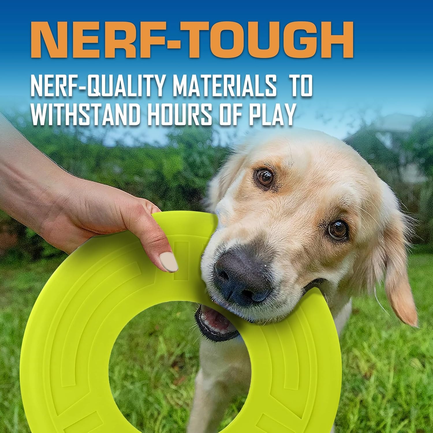 image:imageNerf Dog Atomic Flyer Outdoor Dog Toy 10 Inch Flying Disc Dog Fetch Toy Rubber Dog Toy for Medium Dogs and Large Dogs OrangeGreen