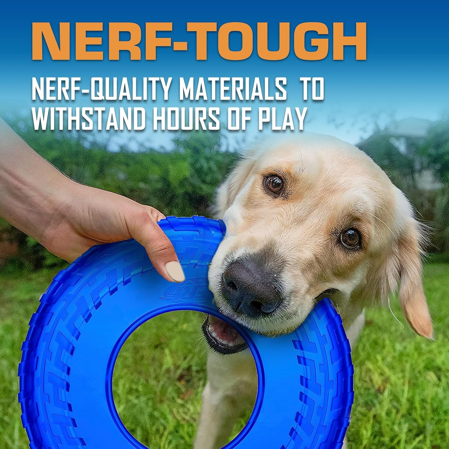 image:imageNerf Dog Atomic Flyer Outdoor Dog Toy 10 Inch Flying Disc Dog Fetch Toy Rubber Dog Toy for Medium Dogs and Large Dogs OrangeMulticolor