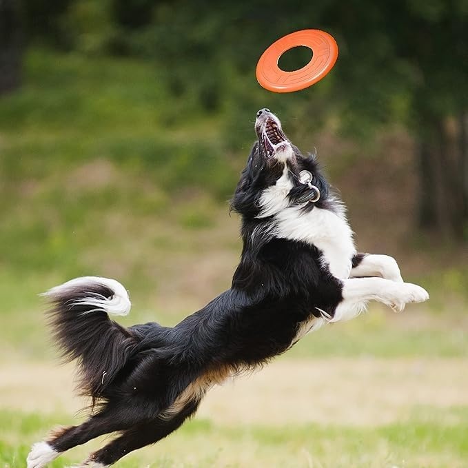 image:imageNerf Dog Atomic Flyer Outdoor Dog Toy 10 Inch Flying Disc Dog Fetch Toy Rubber Dog Toy for Medium Dogs and Large Dogs OrangeOrange