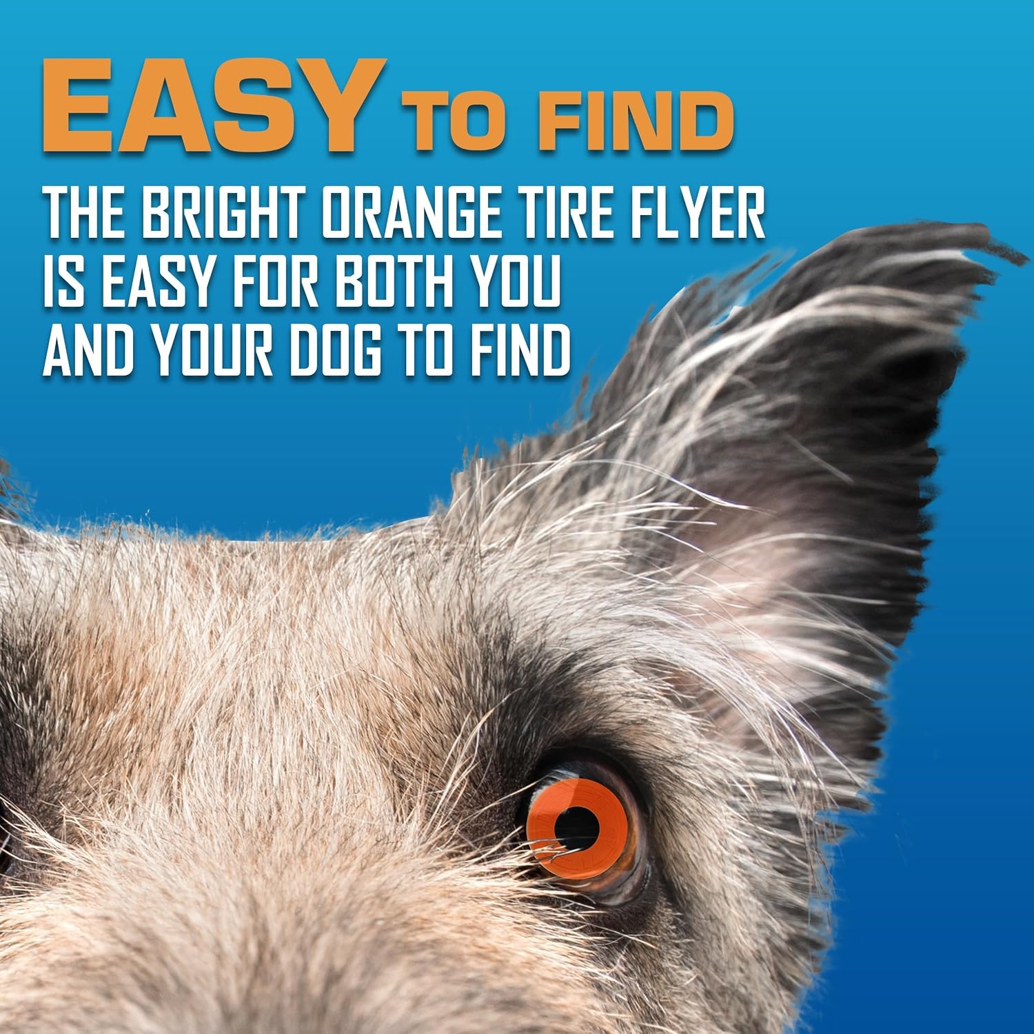 image:imageNerf Dog Atomic Flyer Outdoor Dog Toy 10 Inch Flying Disc Dog Fetch Toy Rubber Dog Toy for Medium Dogs and Large Dogs OrangeOrange