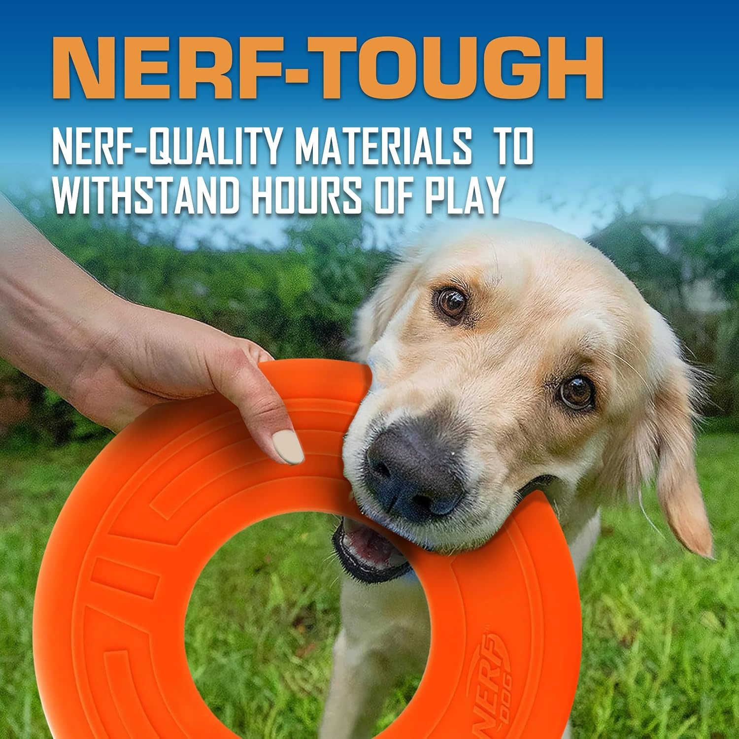 image:imageNerf Dog Atomic Flyer Outdoor Dog Toy 10 Inch Flying Disc Dog Fetch Toy Rubber Dog Toy for Medium Dogs and Large Dogs OrangeOrange