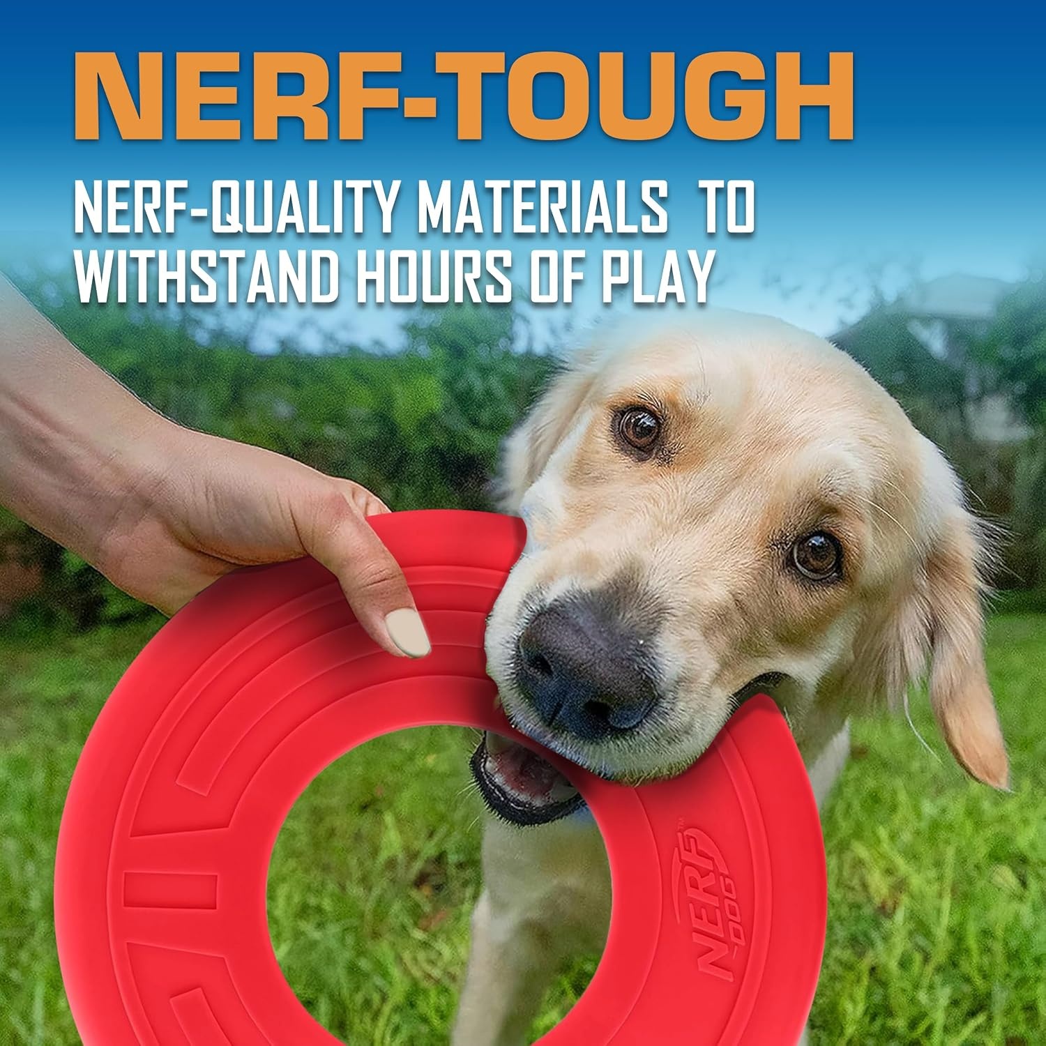 image:imageNerf Dog Atomic Flyer Outdoor Dog Toy 10 Inch Flying Disc Dog Fetch Toy Rubber Dog Toy for Medium Dogs and Large Dogs OrangeRed