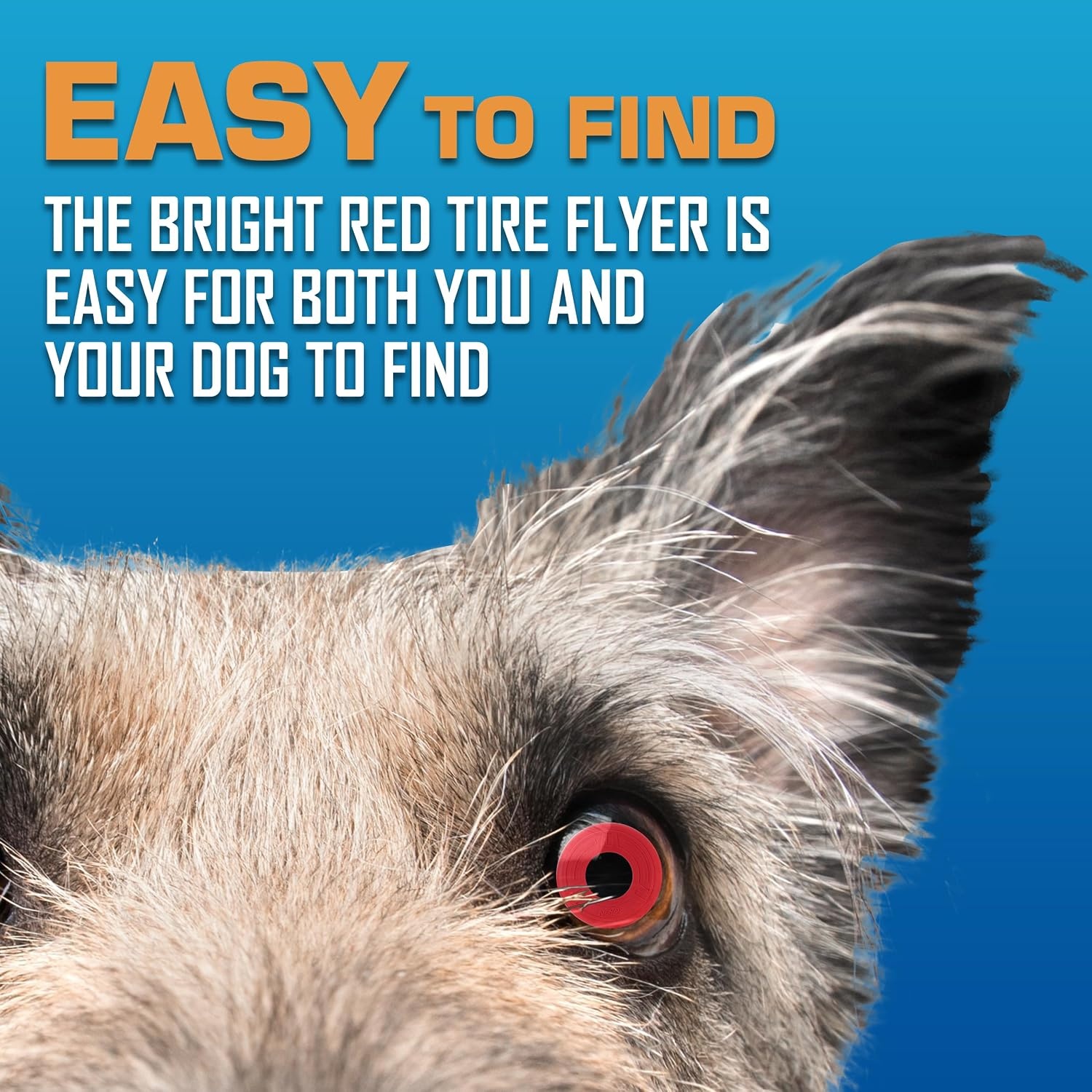 image:imageNerf Dog Atomic Flyer Outdoor Dog Toy 10 Inch Flying Disc Dog Fetch Toy Rubber Dog Toy for Medium Dogs and Large Dogs OrangeRed