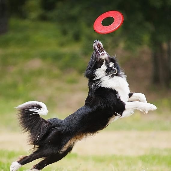 image:imageNerf Dog Atomic Flyer Outdoor Dog Toy 10 Inch Flying Disc Dog Fetch Toy Rubber Dog Toy for Medium Dogs and Large Dogs OrangeRed