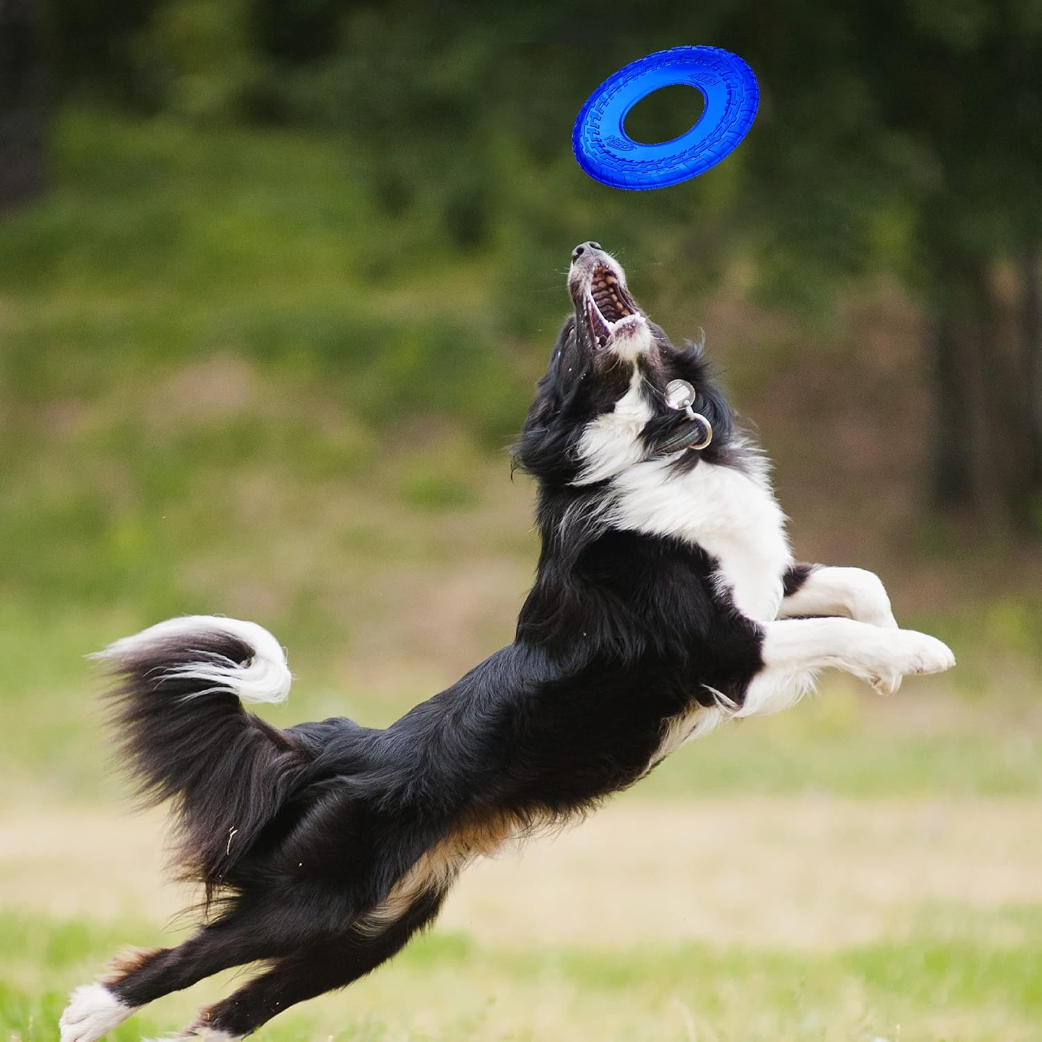 image:imageNerf Dog Atomic Flyer Outdoor Dog Toy 10 Inch Flying Disc Dog Fetch Toy Rubber Dog Toy for Medium Dogs and Large Dogs OrangeTranslucent Blue
