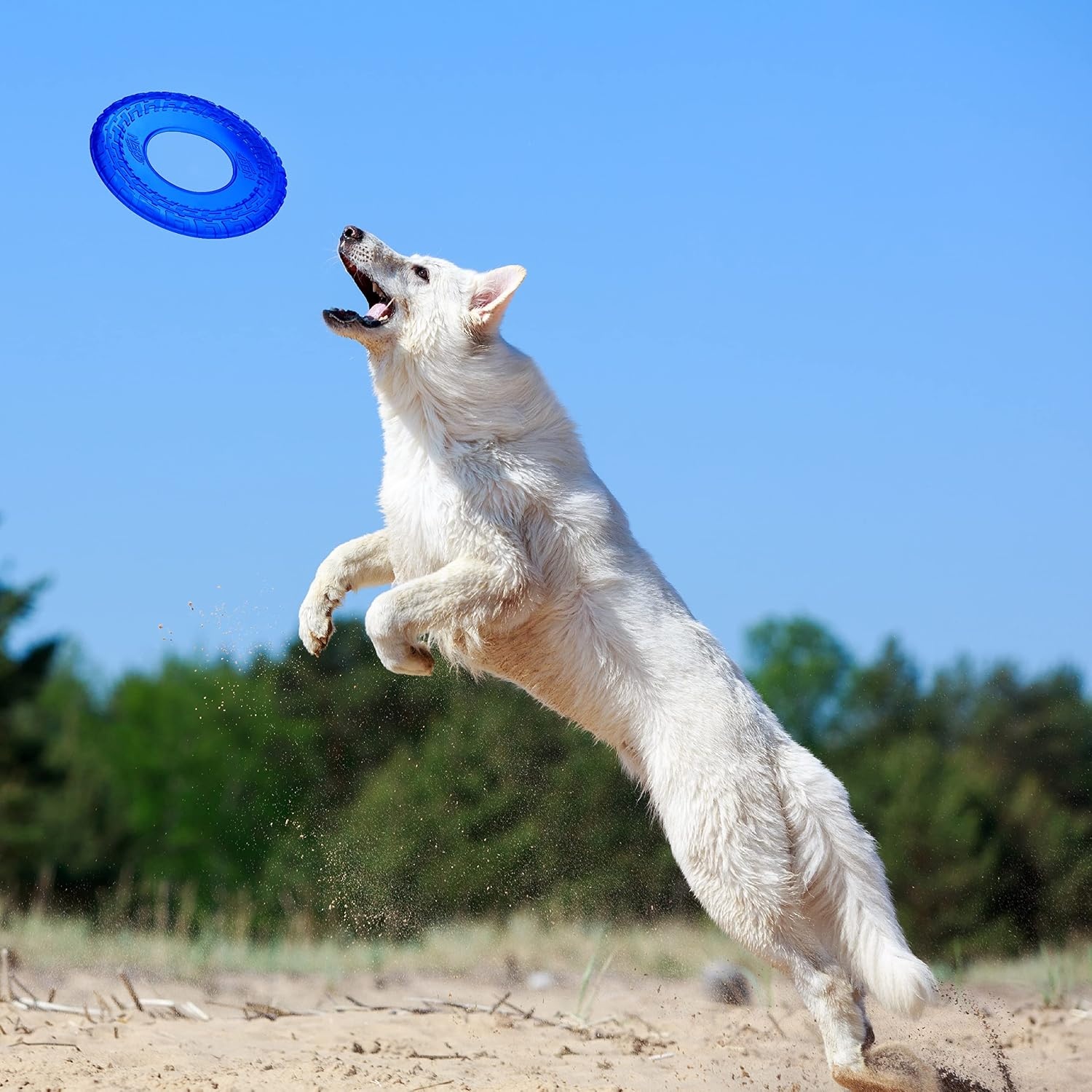 image:imageNerf Dog Atomic Flyer Outdoor Dog Toy 10 Inch Flying Disc Dog Fetch Toy Rubber Dog Toy for Medium Dogs and Large Dogs OrangeTranslucent Blue