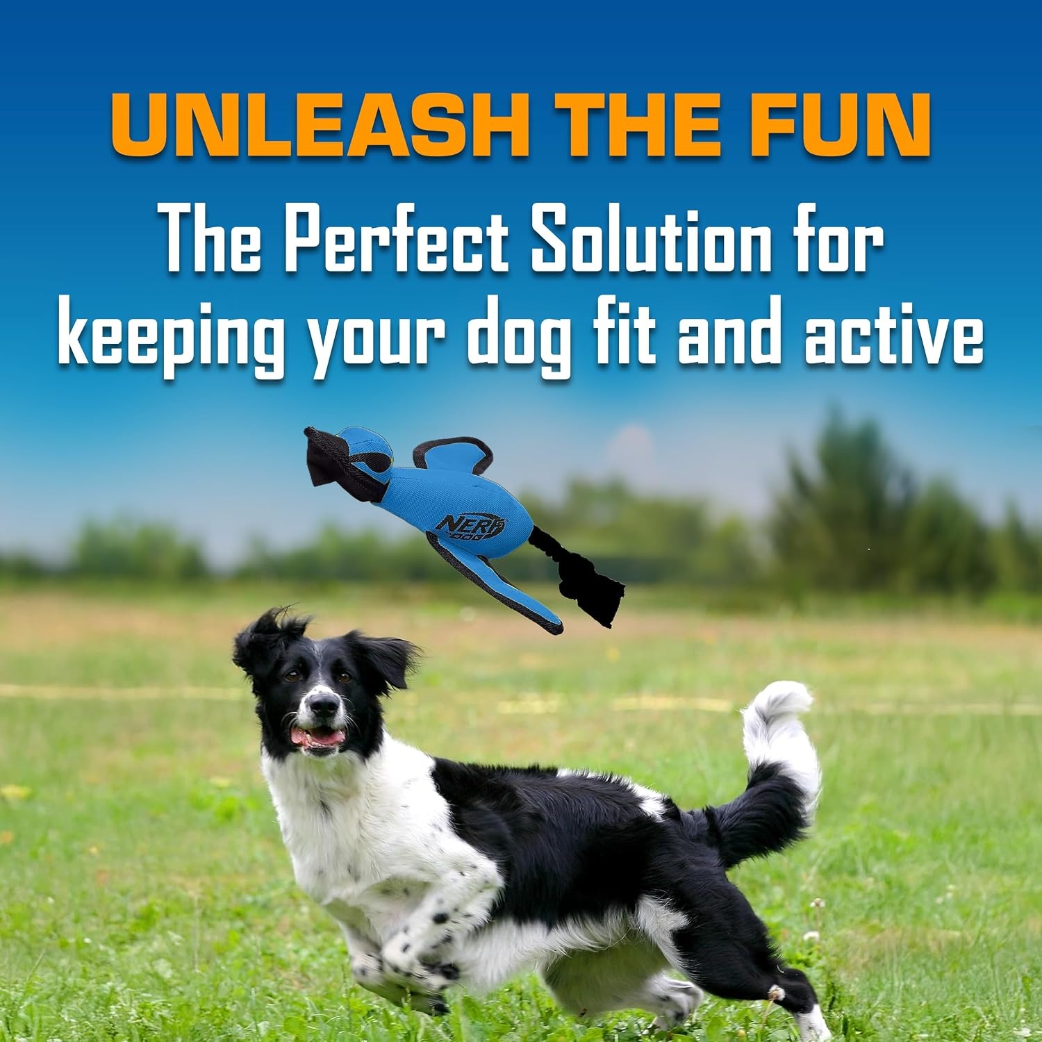 image:imageNerf Dog Large Nylon Launching DuckBlueGreenBlue
