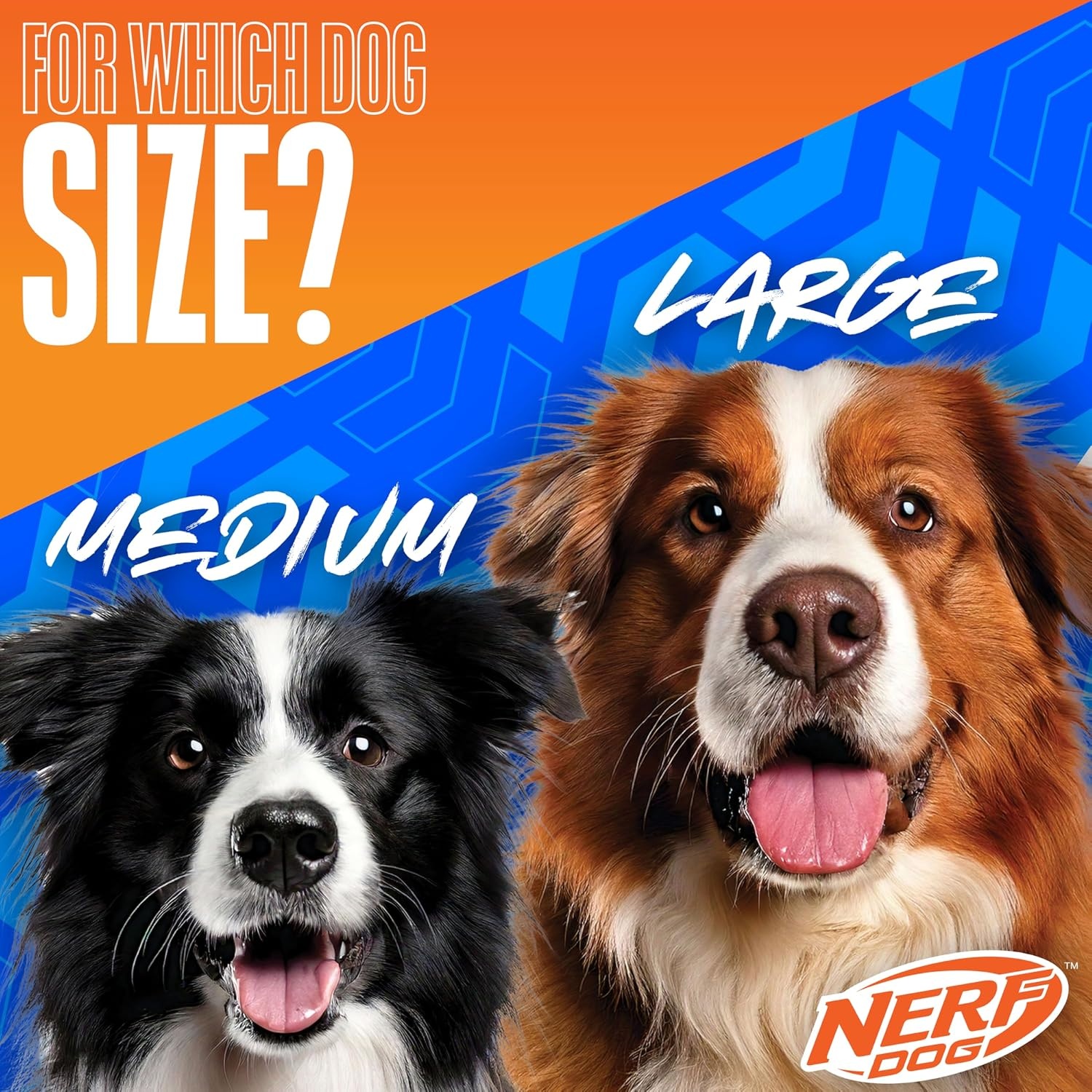 image:imageNerf Dog Large Nylon Launching DuckBlueGreenGreen Blue
