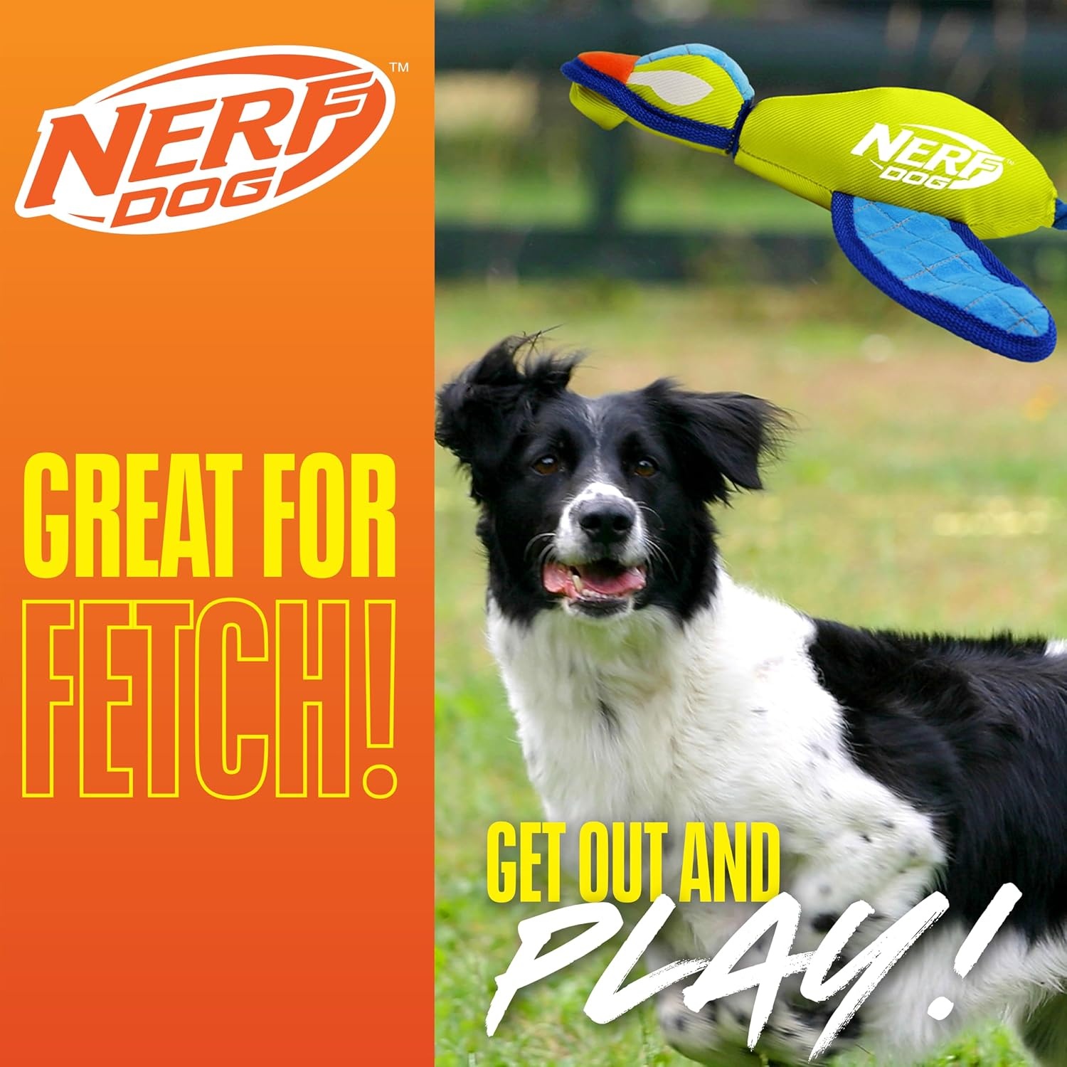 image:imageNerf Dog Large Nylon Launching DuckBlueGreenGreen Blue