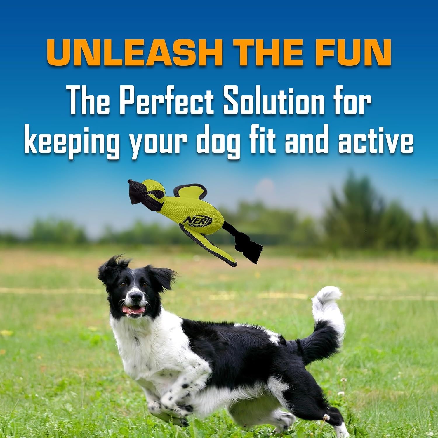 image:imageNerf Dog Large Nylon Launching DuckBlueGreenGreen