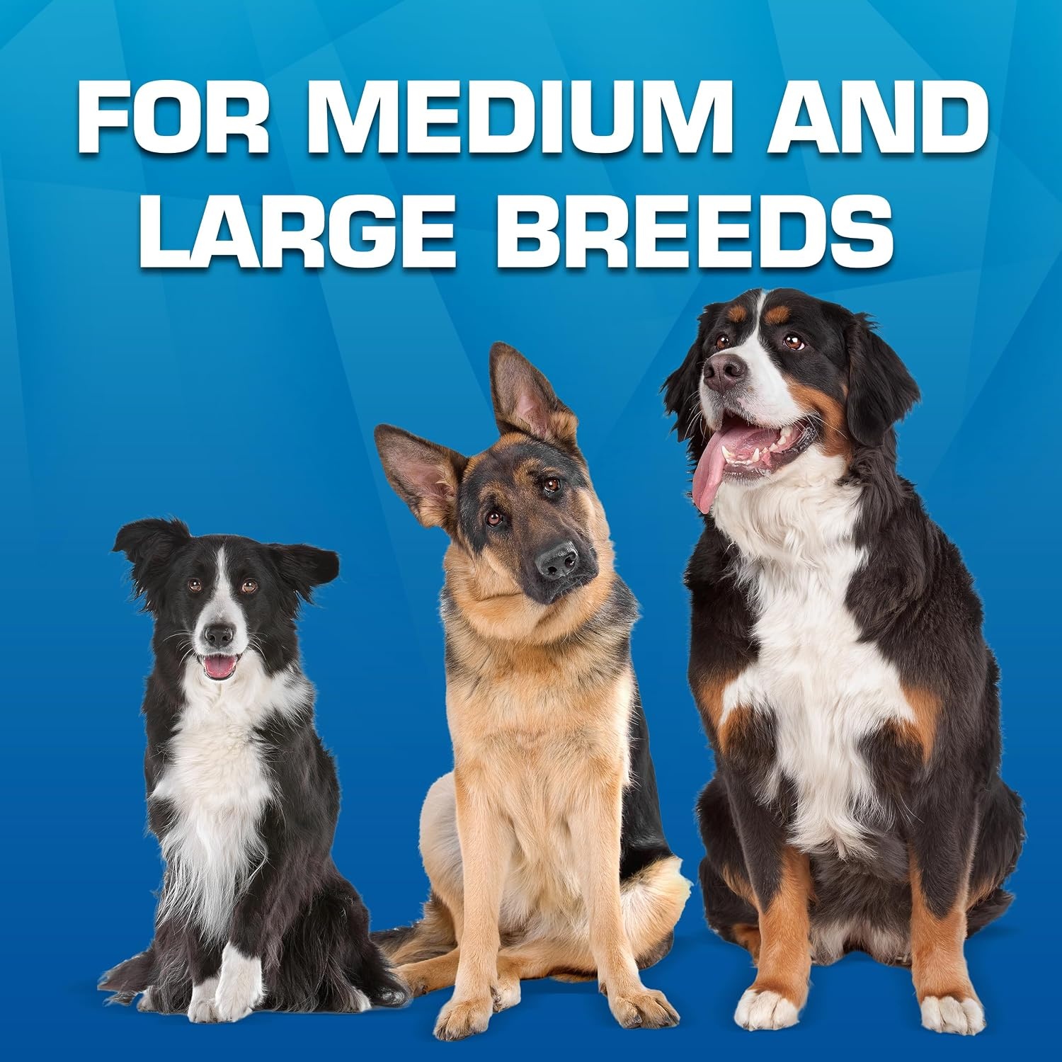 image:imageNerf Dog Large Nylon Launching DuckBlueGreenGreen