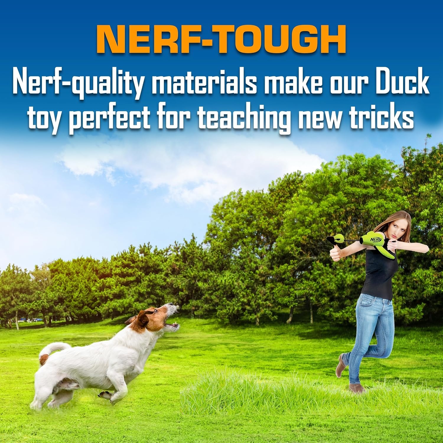 image:imageNerf Dog Large Nylon Launching DuckBlueGreenGreen
