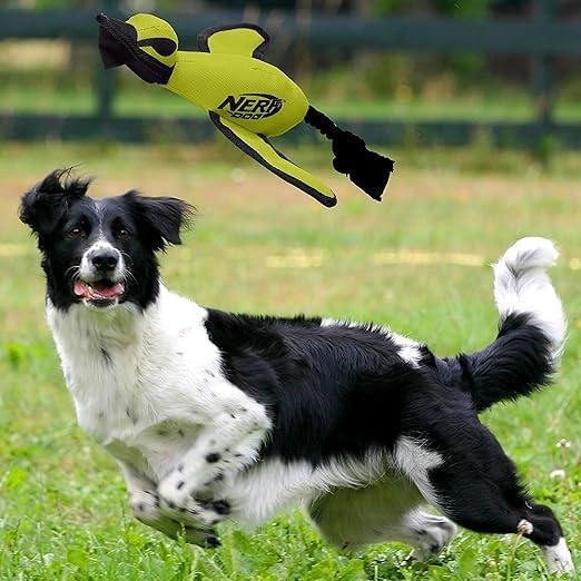image:imageNerf Dog Large Nylon Launching DuckBlueGreenGreen