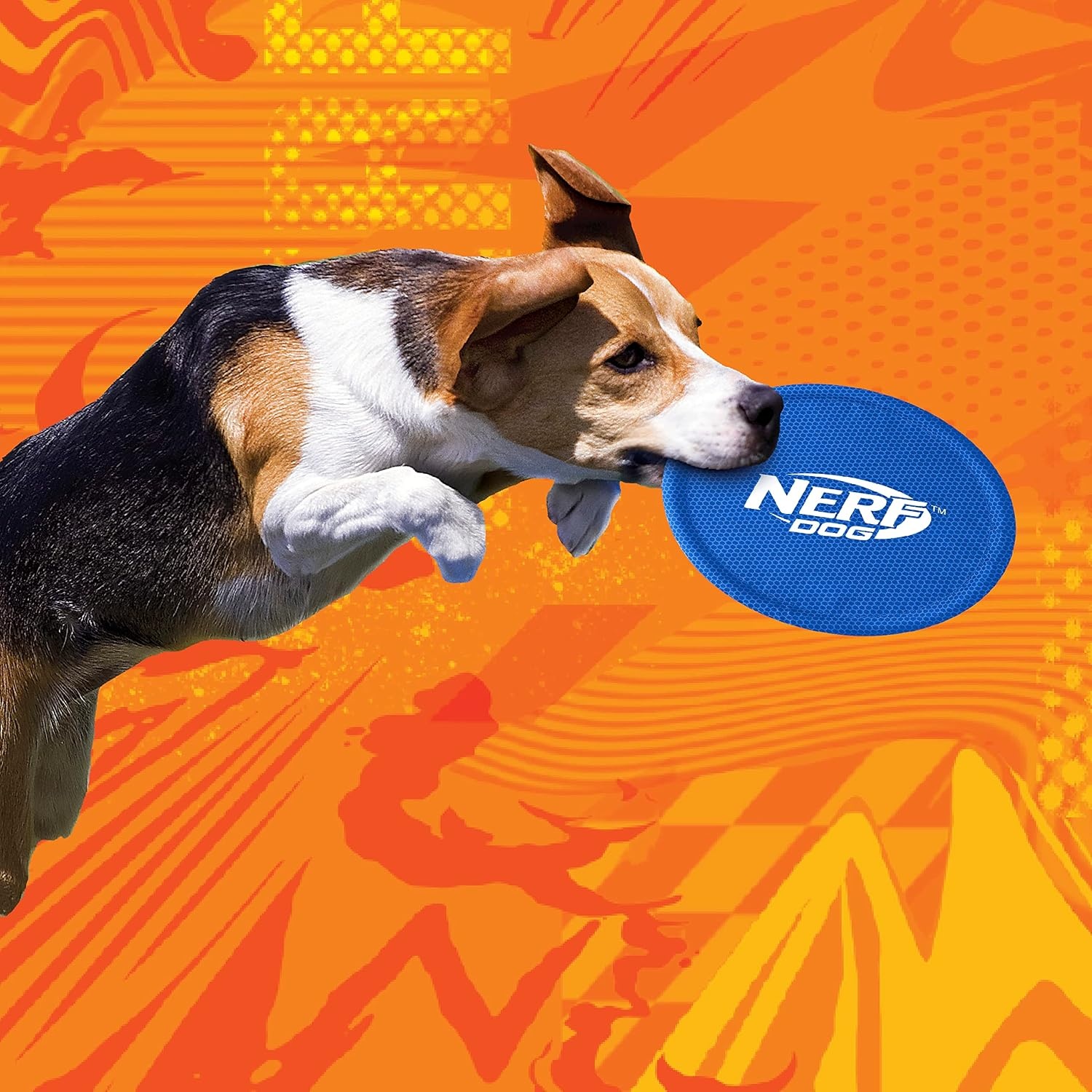 image:imageNerf Dog Nylon Flyer Dog Toy Flying Disc Lightweight Durable and Water Resistant Great for Beach and Pool 9 inch diameter for MediumLarge Breeds Single Unit BlueBlue