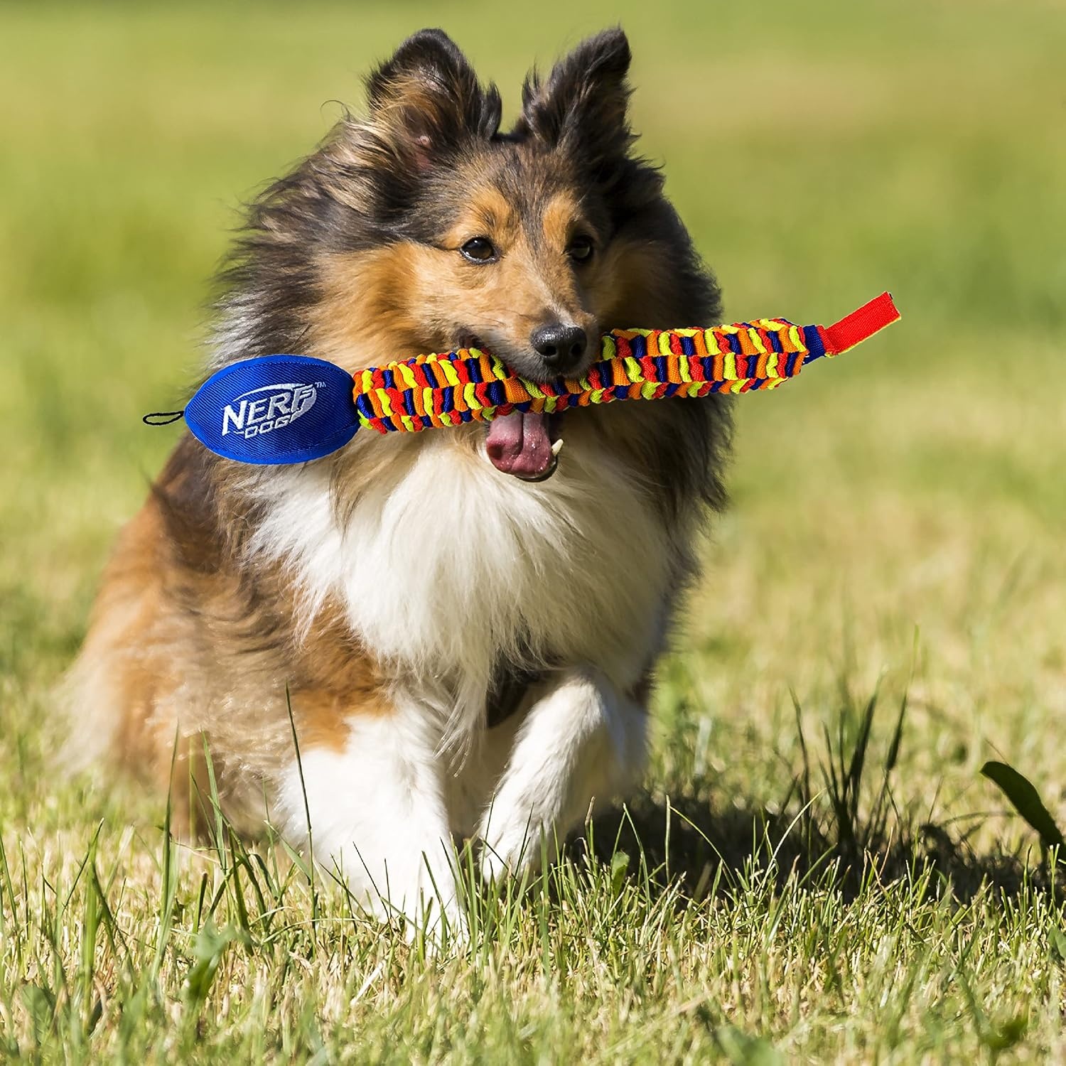 image:imageNerf Dog Rainbow Vortex Chain Tug Dog Toy Lightweight Durable and Water Resistant 19 Inches For MediumLarge Breeds Single Unit Rainbow Colored25in