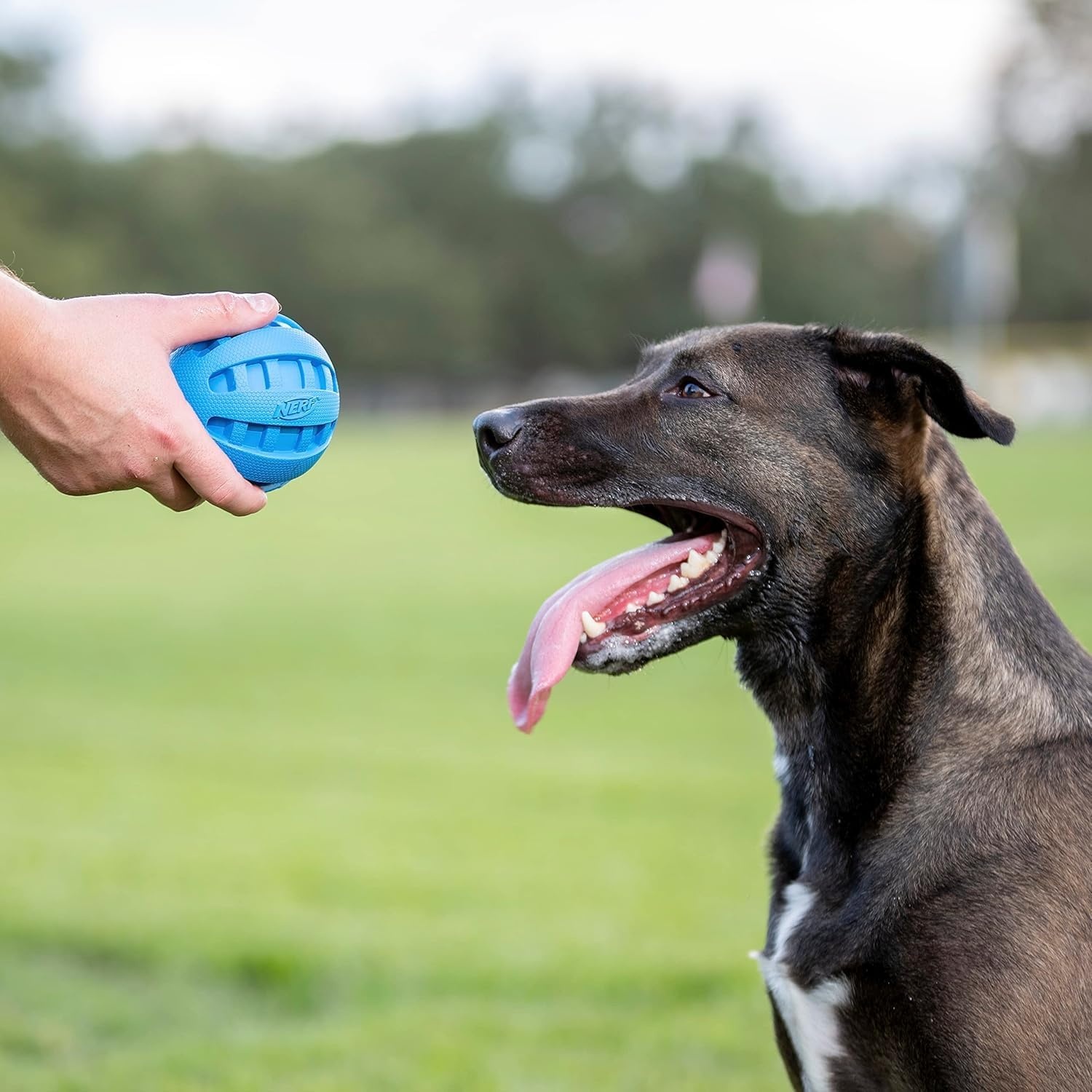 image:imageNerf Dog Rubber Ball Dog Toy with Checkered Squeaker Lightweight Durable and Water Resistant 4 Inch Diameter for MediumLarge Breeds Single Unit Blue4 Inch Blue