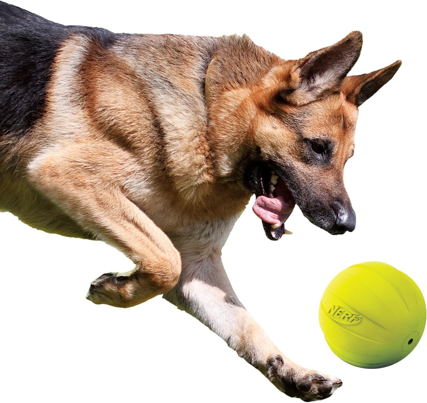 image:imageNerf Dog Rubber Ball Dog Toy with Squeaker Lightweight Durable and Water Resistant 4 Inch Diameter for MediumLarge Breeds Single Unit GreenGreen