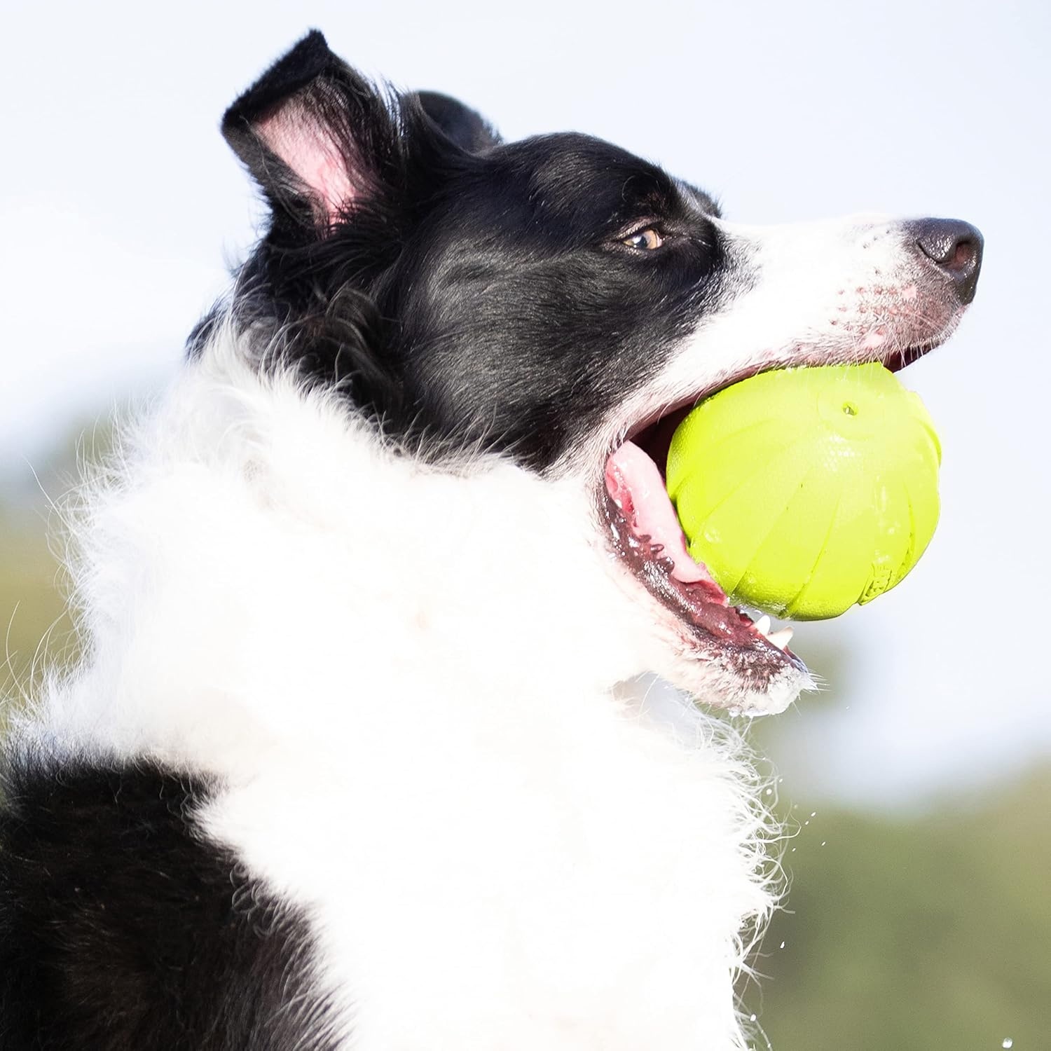 image:imageNerf Dog Rubber Ball Dog Toy with Squeaker Lightweight Durable and Water Resistant 4 Inch Diameter for MediumLarge Breeds Single Unit GreenGreen