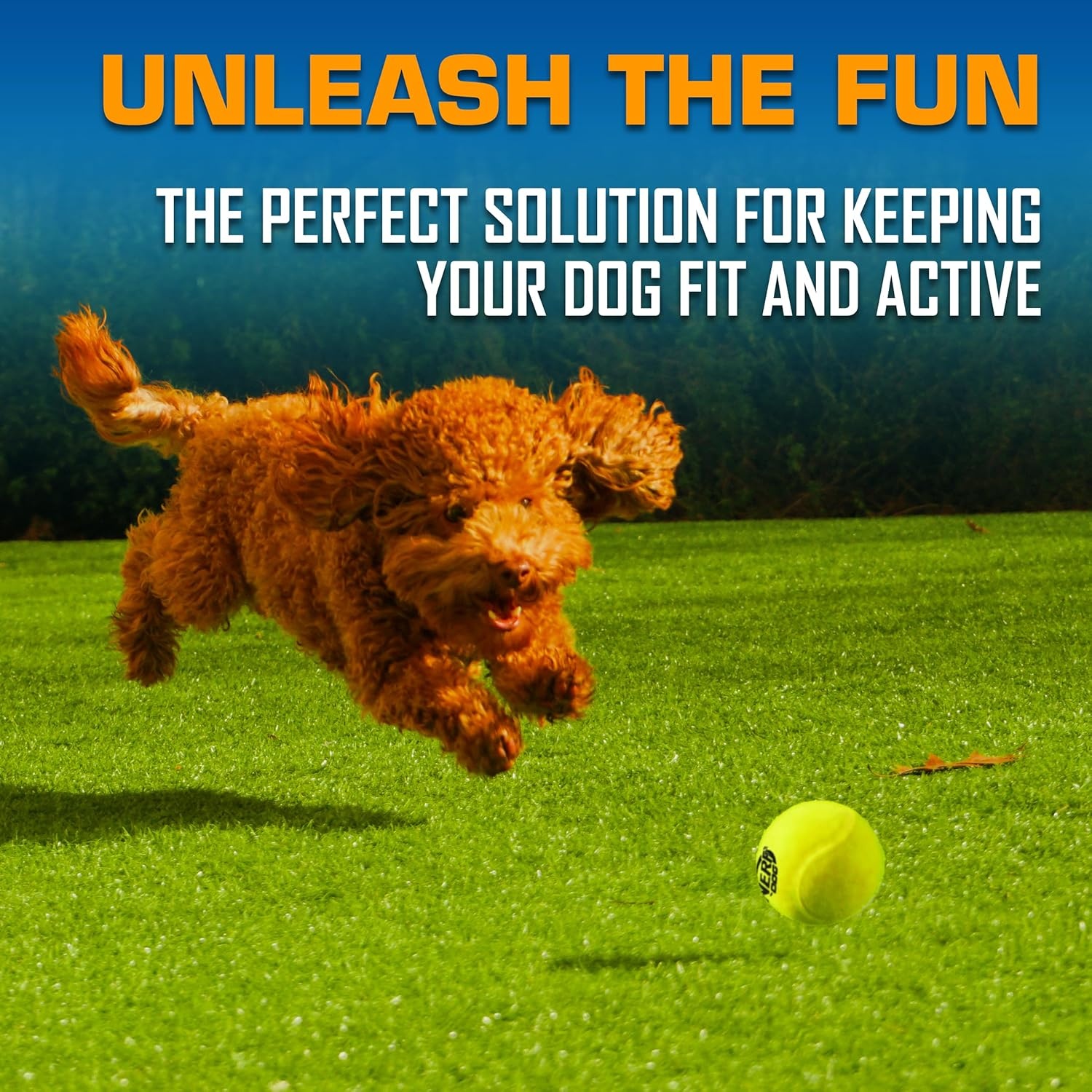 image:imageNerf Dog Tennis Ball Blaster Dog Toy Gift Set Tennis Ball Dog Fetch Toy Launches up to 50 ft Dog Ball Thrower for All Breeds Includes Translucent Blue Tennis Ball Launcher and 3 Dog Tennis Balls4 Piece Set