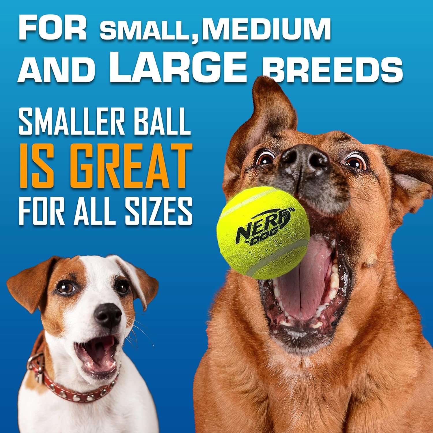 image:imageNerf Dog Tennis Ball Blaster Dog Toy Gift Set Tennis Ball Dog Fetch Toy Launches up to 50 ft Dog Ball Thrower for All Breeds Includes Translucent Blue Tennis Ball Launcher and 3 Dog Tennis Balls4 Piece Set Pack of 12