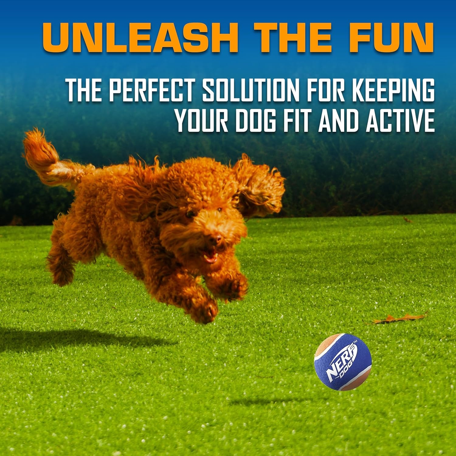 image:imageNerf Dog Tennis Ball Blaster Dog Toy16 in Compact Blaster with 3 Balls