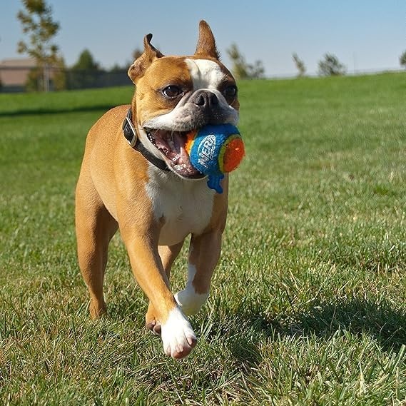 image:imageNerf Dog Tennis Ball Blaster Dog Toy16 in Compact Blaster with 3 Balls