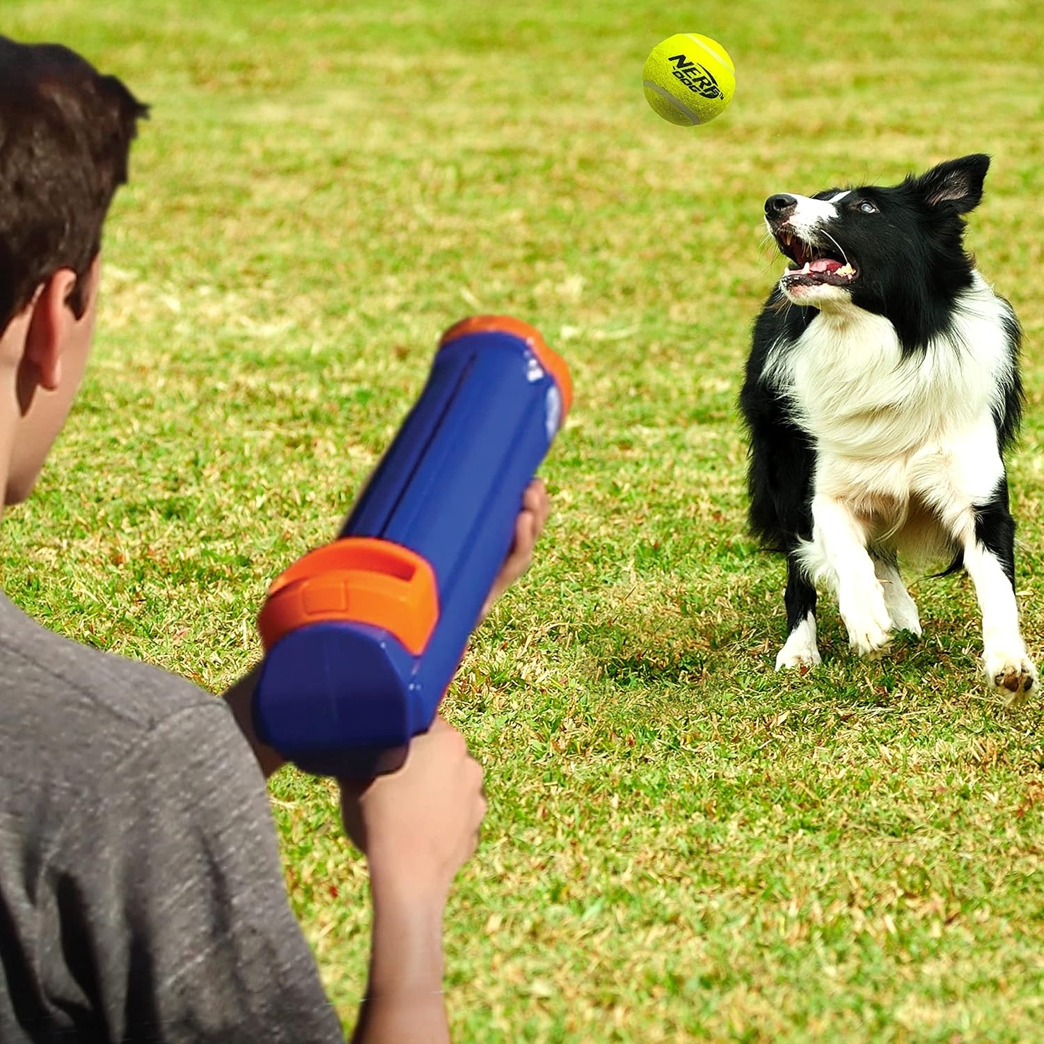 image:imageNerf Dog Tennis Ball Blaster Dog Toy20 Inch Large Blaster with 4 Balls Pack of 3