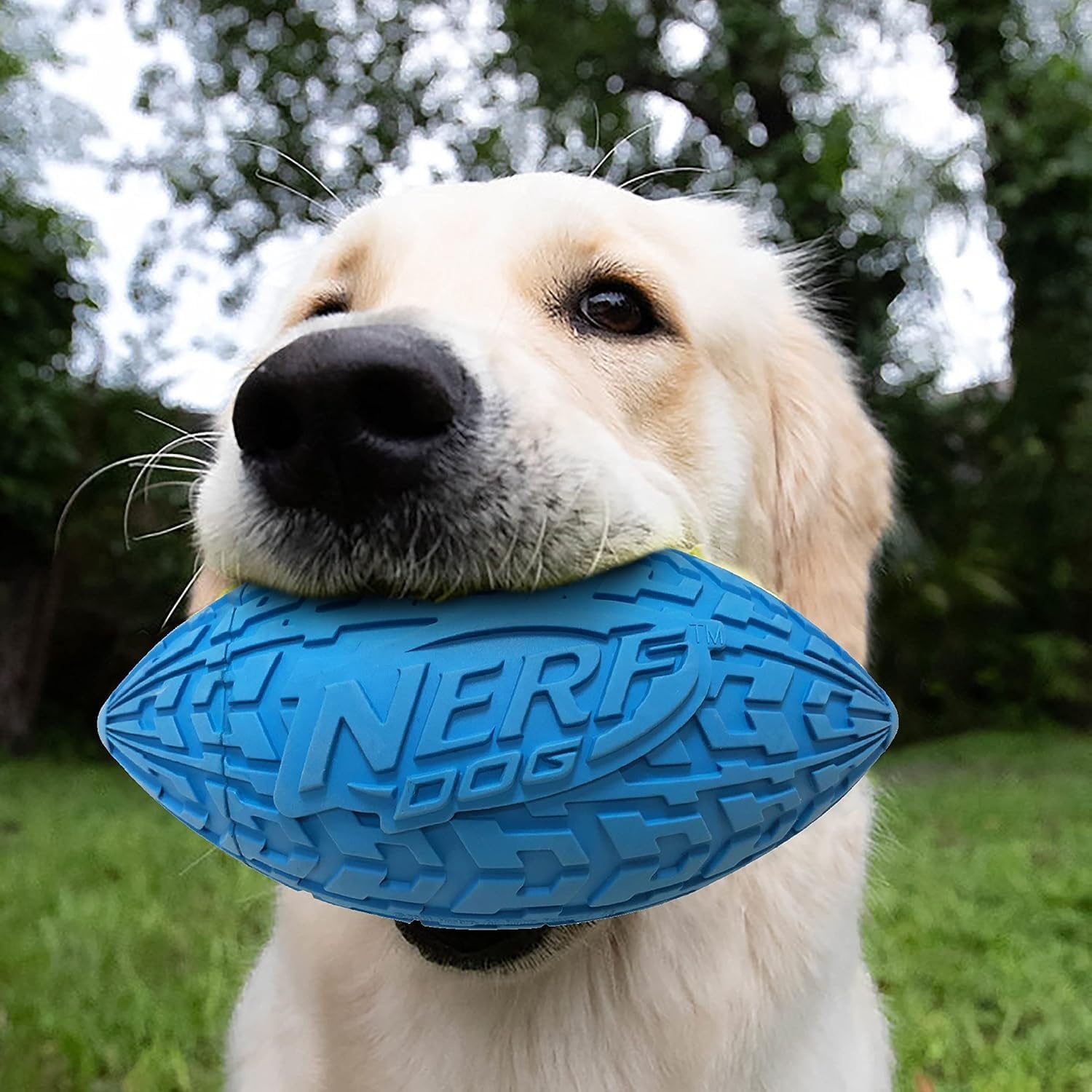 image:imageNerf Dog Tire Squeak Football Outdoor Dog Toy 6 Inch Dog Football Squeaking Toy for Medium and Large Breeds BlueBlue