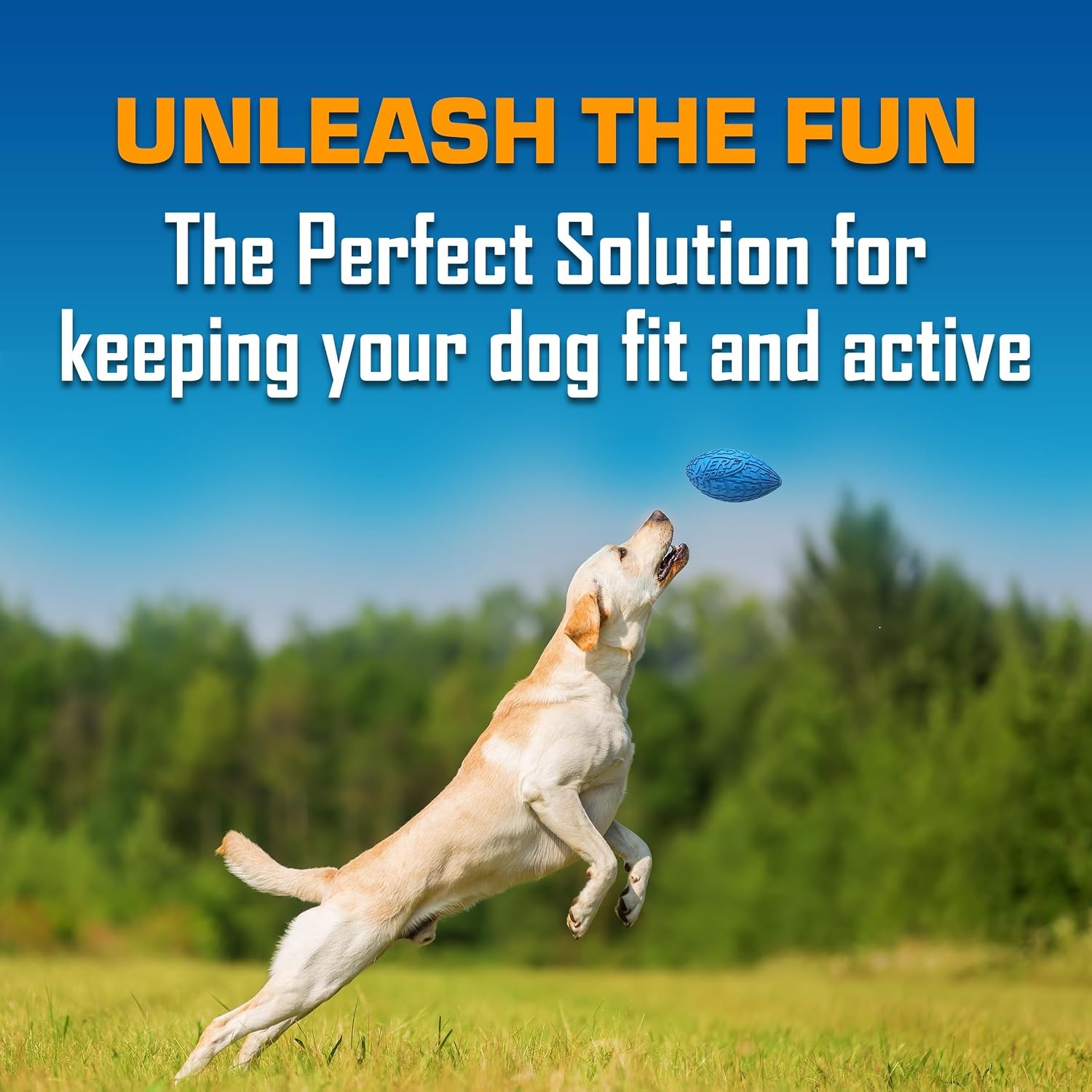image:imageNerf Dog Tire Squeak Football Outdoor Dog Toy 6 Inch Dog Football Squeaking Toy for Medium and Large Breeds BlueBlue