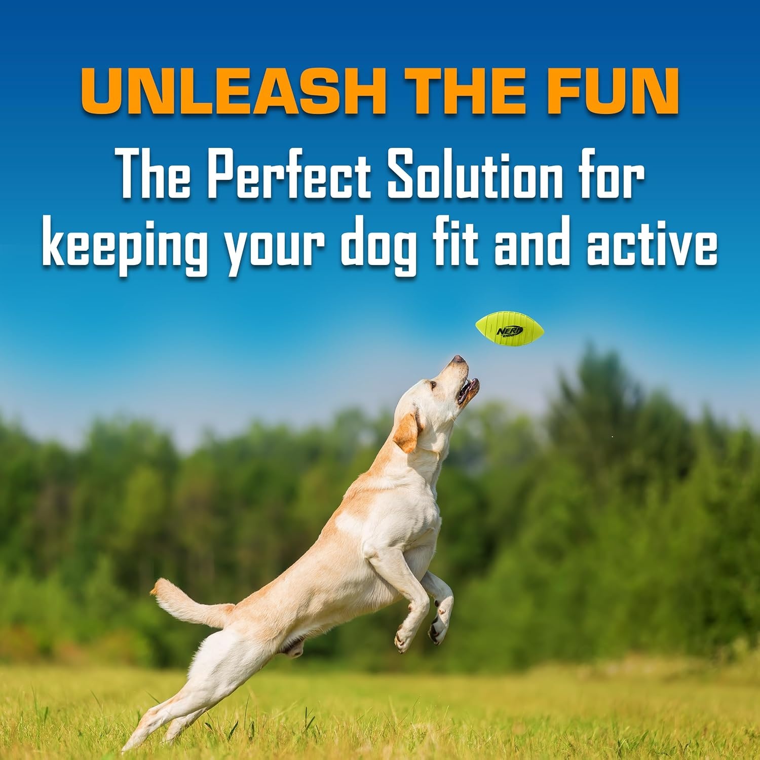 image:imageNerf Dog Tire Squeak Football Outdoor Dog Toy 6 Inch Dog Football Squeaking Toy for Medium and Large Breeds BlueGreen