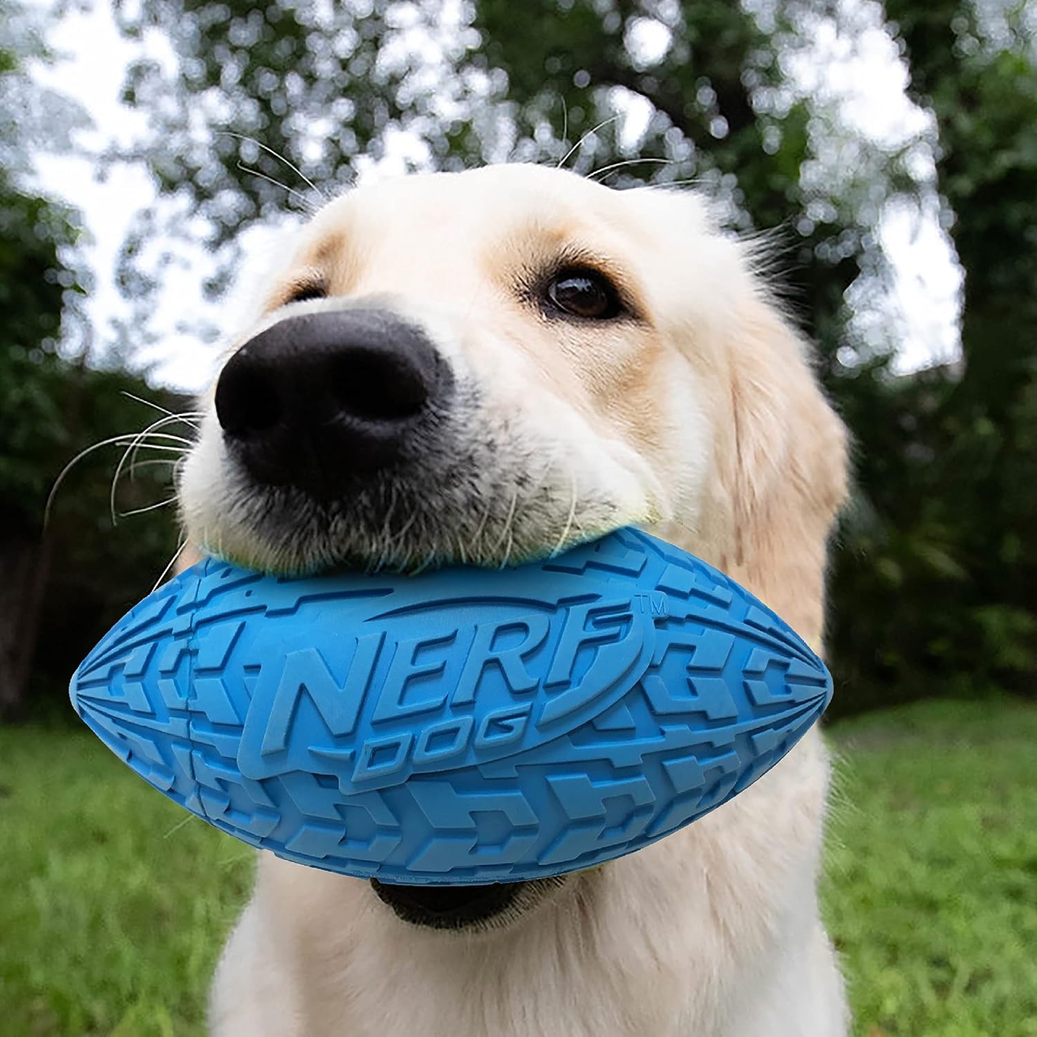 image:imageNerf Dog Tire Squeak Football Outdoor Dog Toy 6 Inch Dog Football Squeaking Toy for Medium and Large Breeds BlueRed and Blue