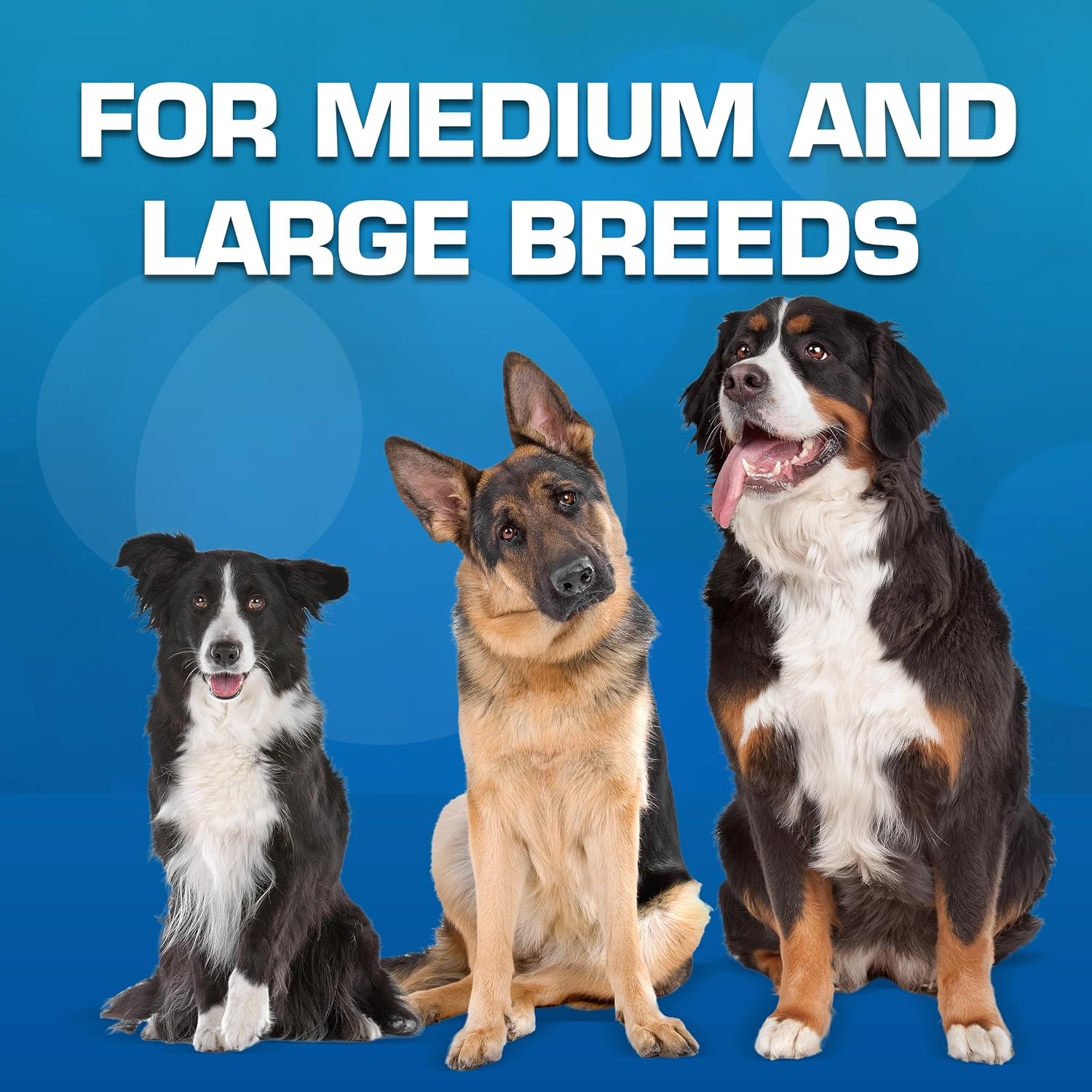 image:imageNerf Dog Tire Squeak Football Outdoor Dog Toy 6 Inch Dog Football Squeaking Toy for Medium and Large Breeds RedRed