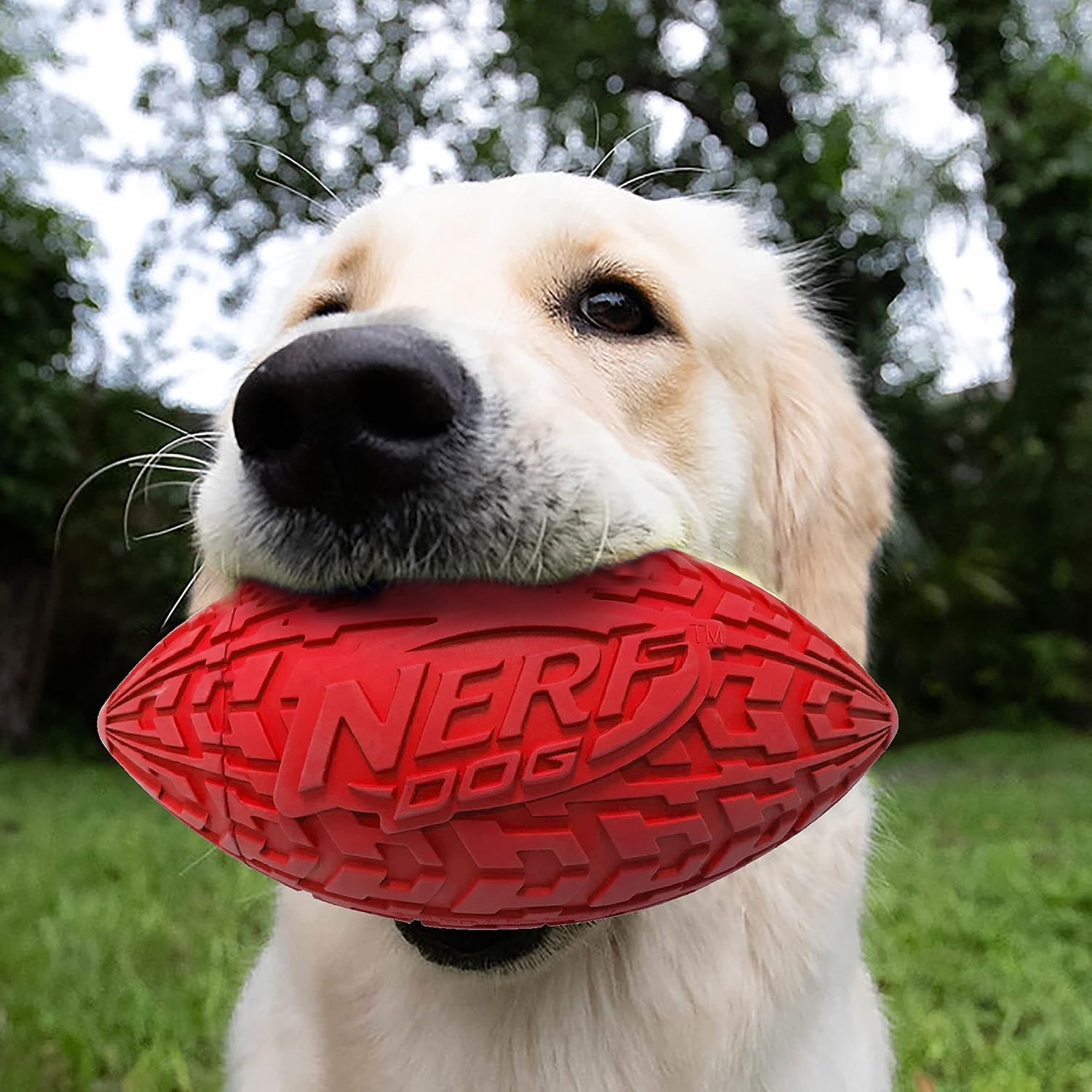image:imageNerf Dog Tire Squeak Football Outdoor Dog Toy 6 Inch Dog Football Squeaking Toy for Medium and Large Breeds RedRed