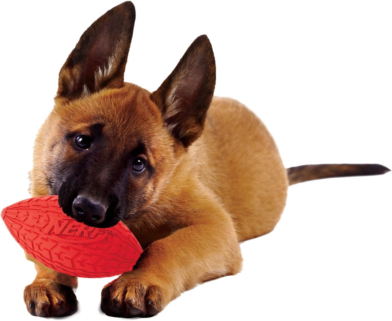 image:imageNerf Dog Tire Squeak Football Outdoor Dog Toy 6 Inch Dog Football Squeaking Toy for Medium and Large Breeds RedRed