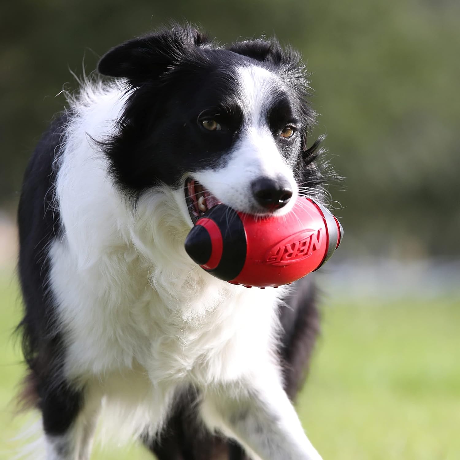 image:imageNerf Dog Tire Squeak Football Outdoor Dog Toy 6 Inch Dog Football Squeaking Toy for Medium and Large Breeds RedRed