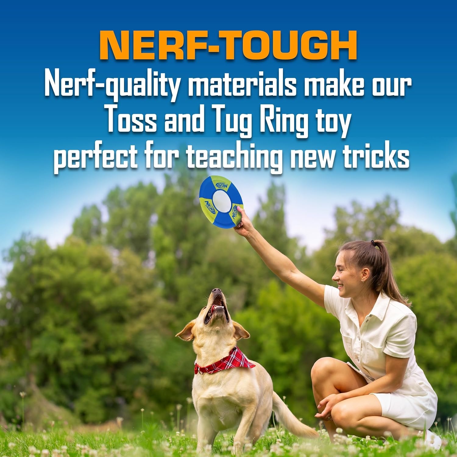 image:imageNerf Dog Trackshot Toss and Tug Ring Outdoor Dog Toy 2 Pack 9 Inch Dog Tug and Fetch Toy for Medium and Large Breeds BlueOrangeGreenMedium