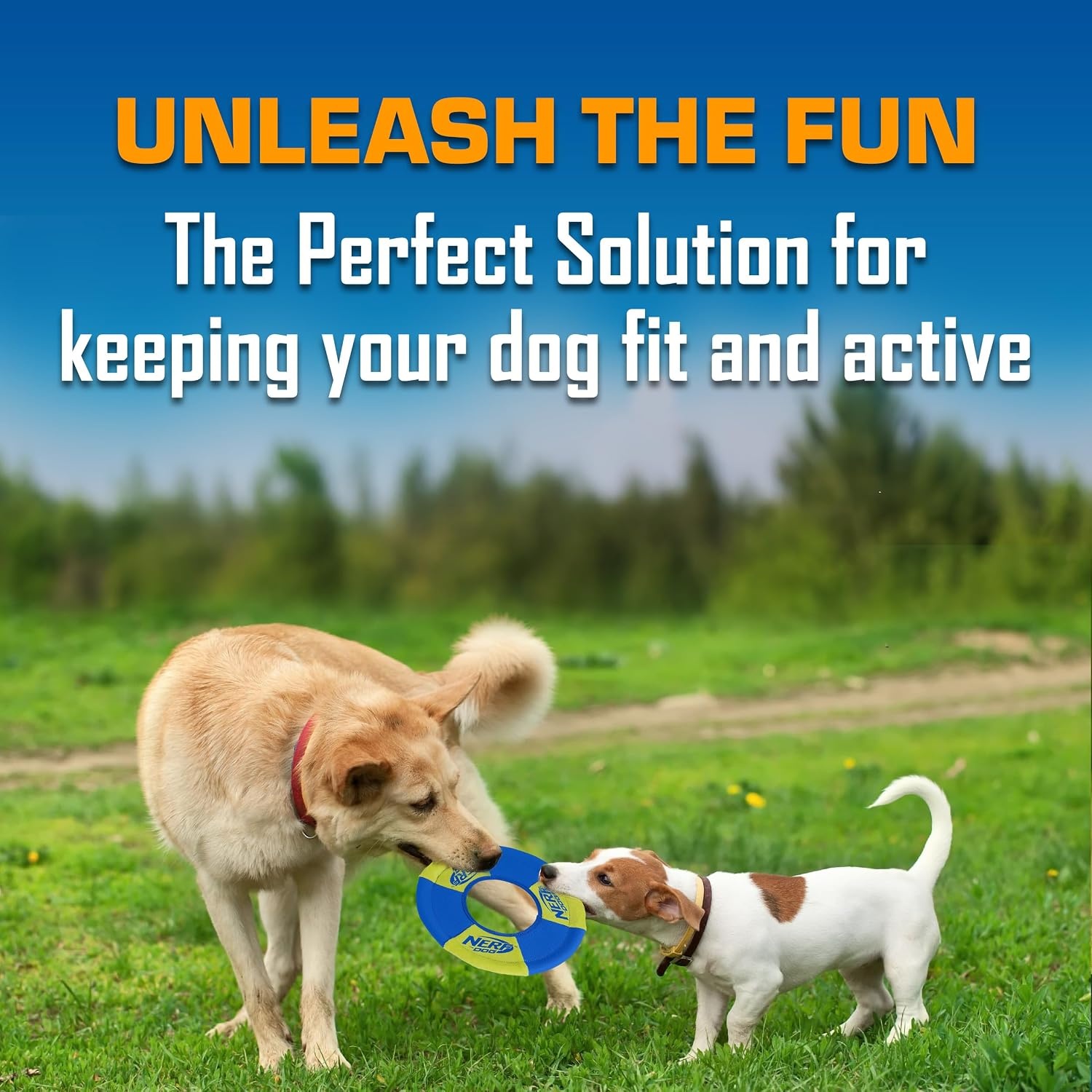image:imageNerf Dog Trackshot Toss and Tug Ring Outdoor Dog Toy 2 Pack 9 Inch Dog Tug and Fetch Toy for Medium and Large Breeds BlueOrangeGreenMedium