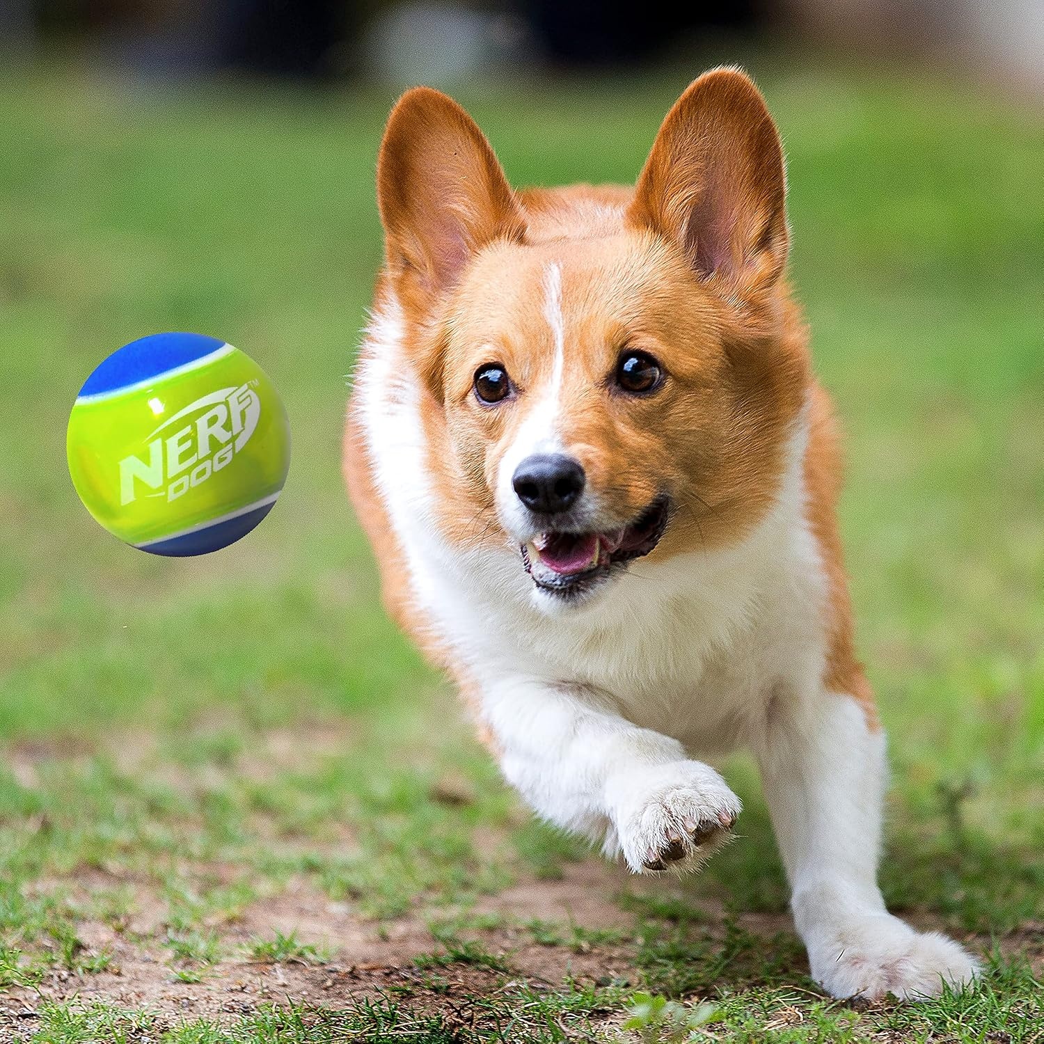 image:imageNerf Dog Rubber Tennis Ball Squeak Toy Durable WaterResistant 25in 2 Pack